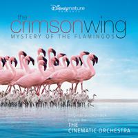 Постер альбома The Crimson Wing: Mystery of the Flamingos