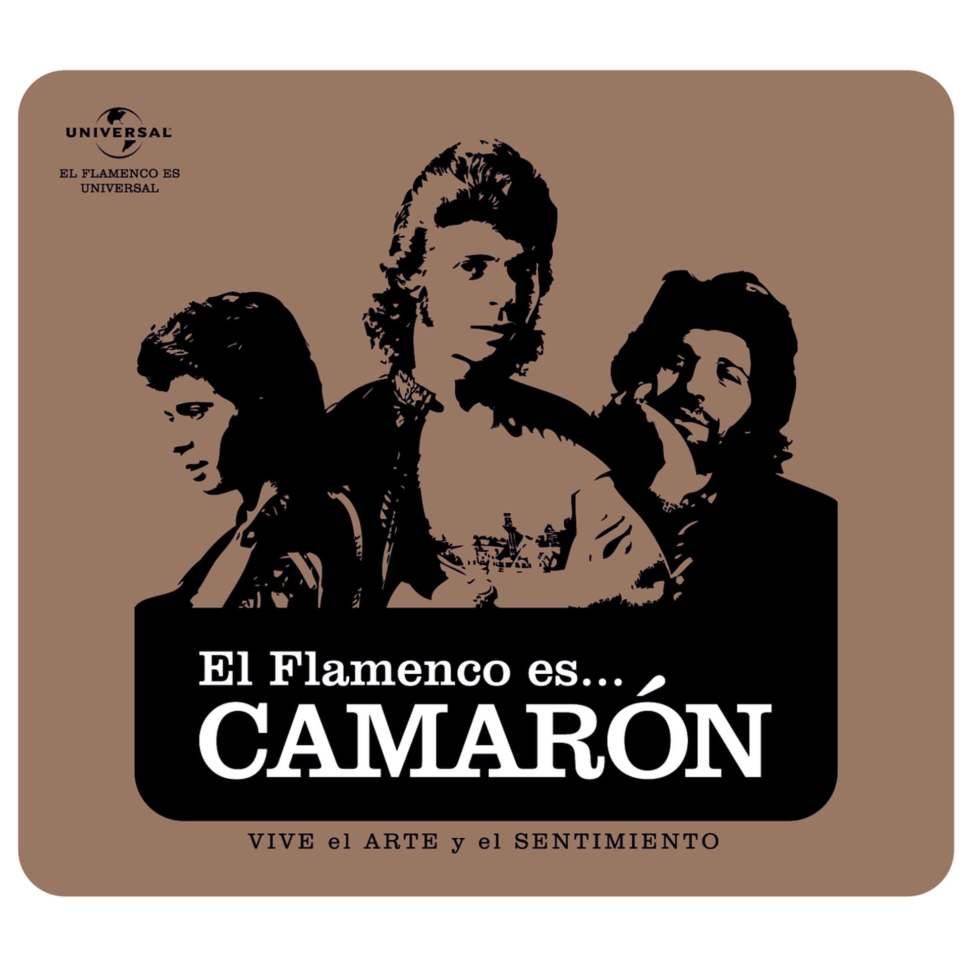 Постер альбома Flamenco es... Camaron