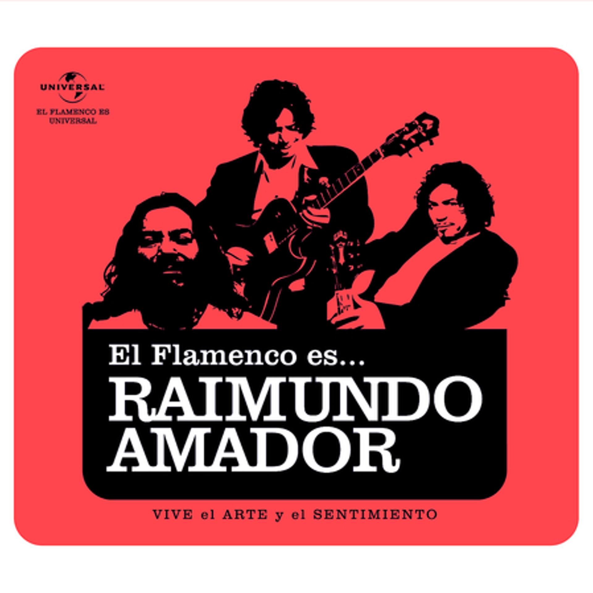 Постер альбома Flamenco es... Raimundo Amador