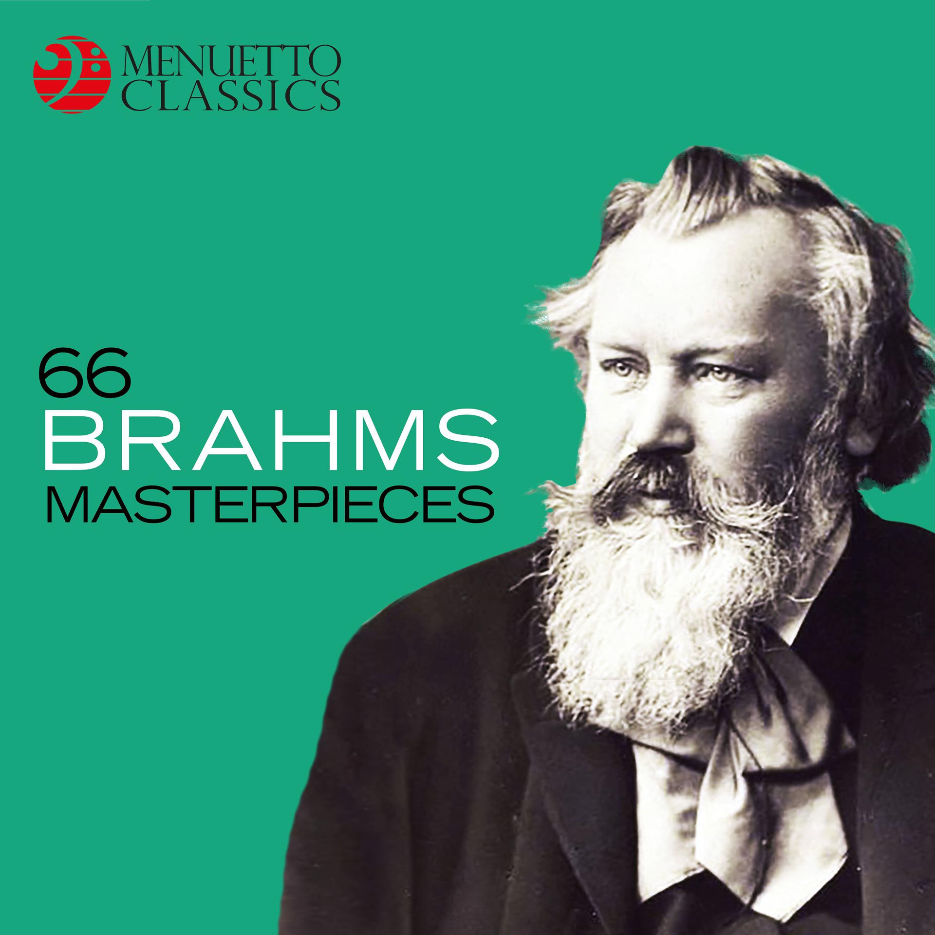 Постер альбома 66 Brahms Masterpieces