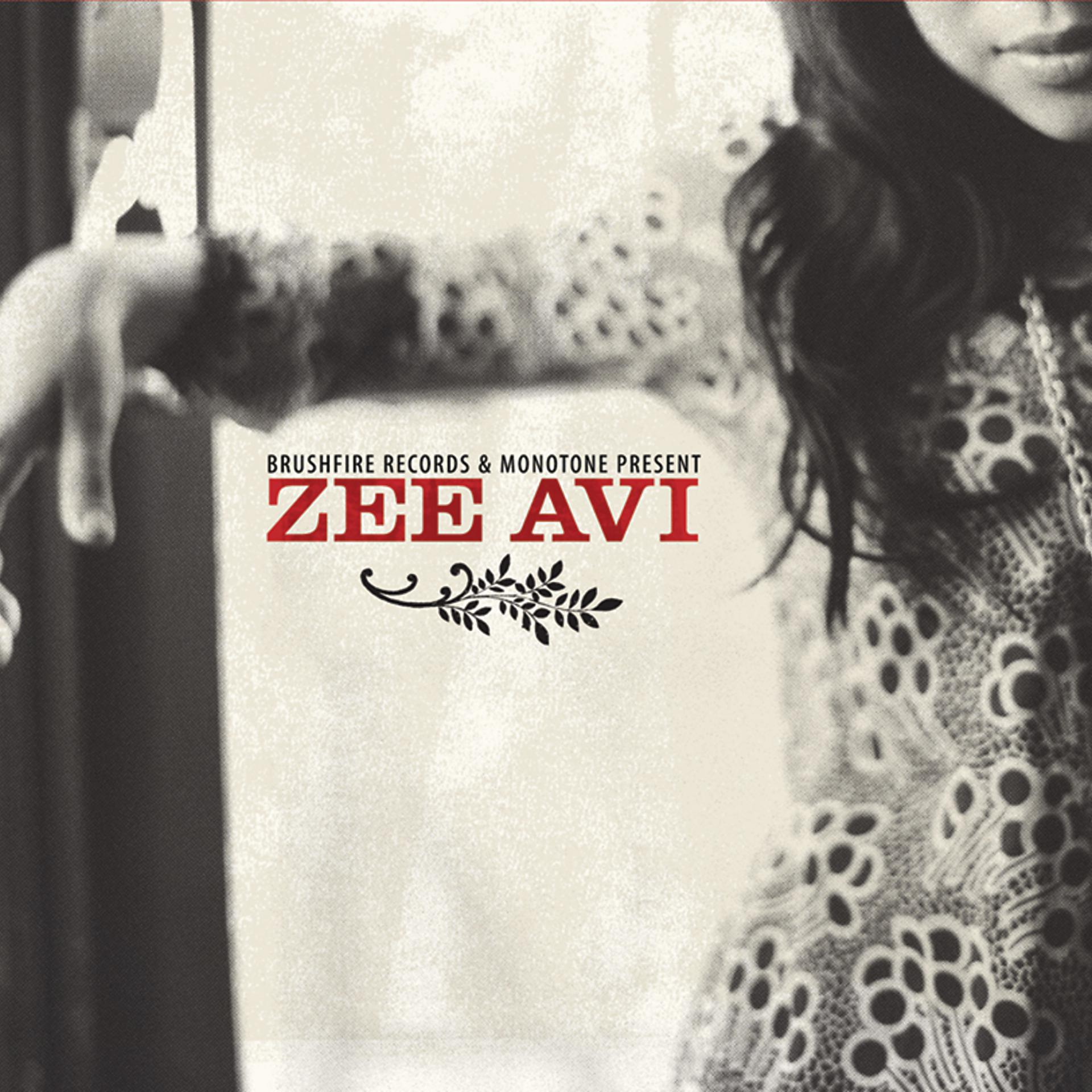 Постер альбома Zee Avi