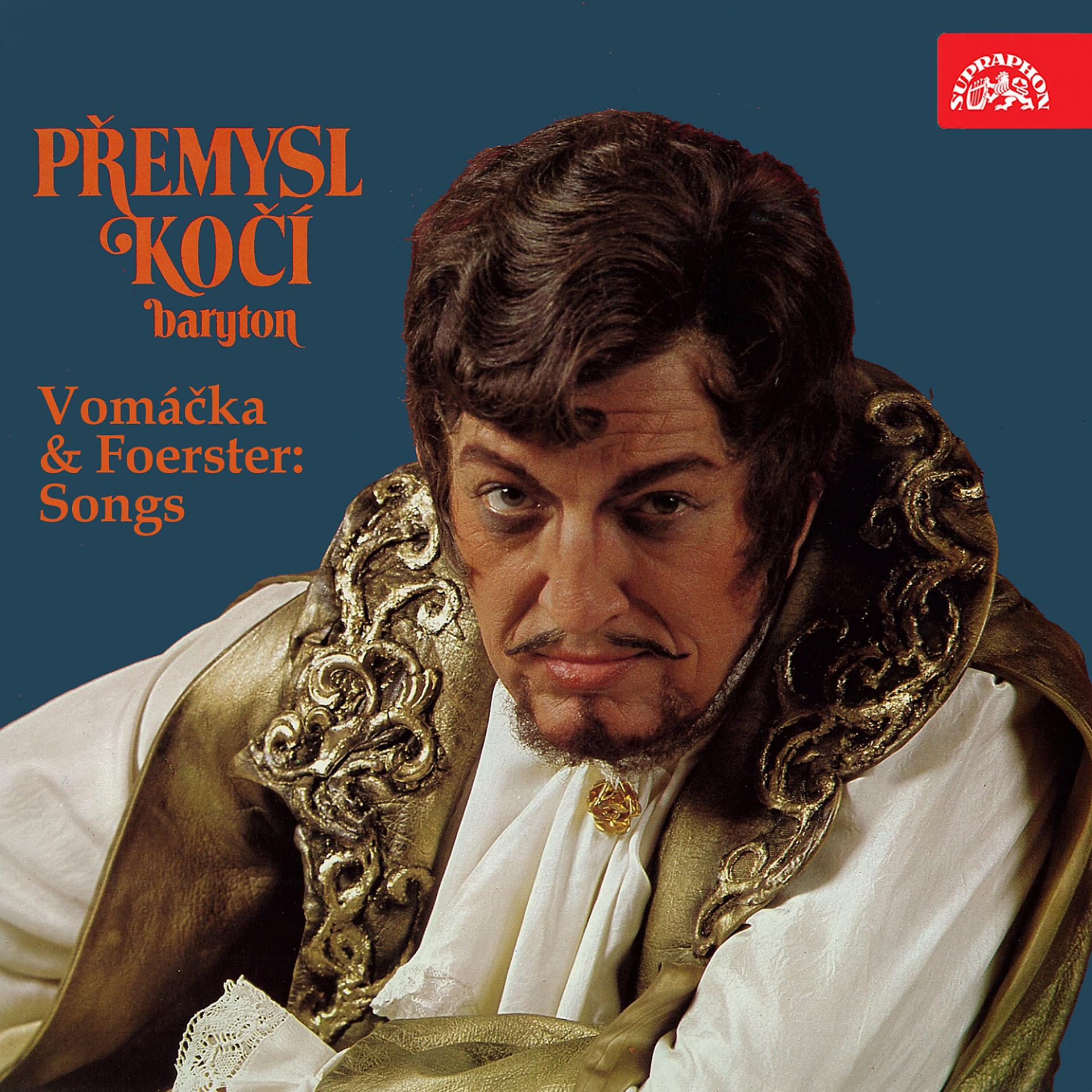 Постер альбома Vomáčka, Foerster: Songs