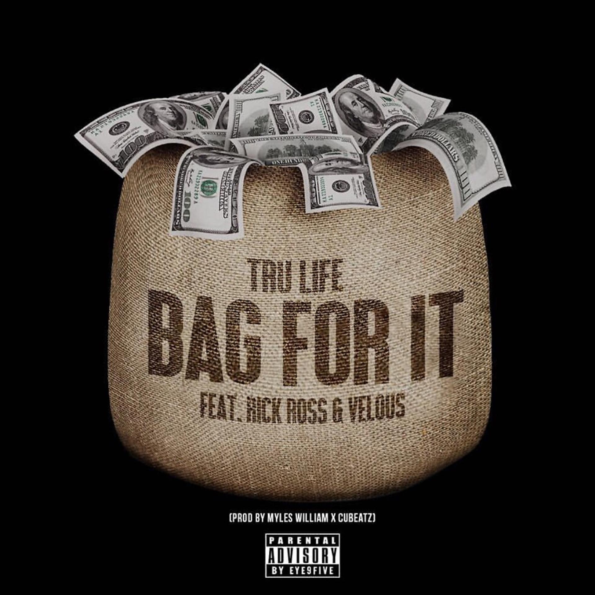 Постер альбома Bag For It (feat. Rick Ross & Velous)