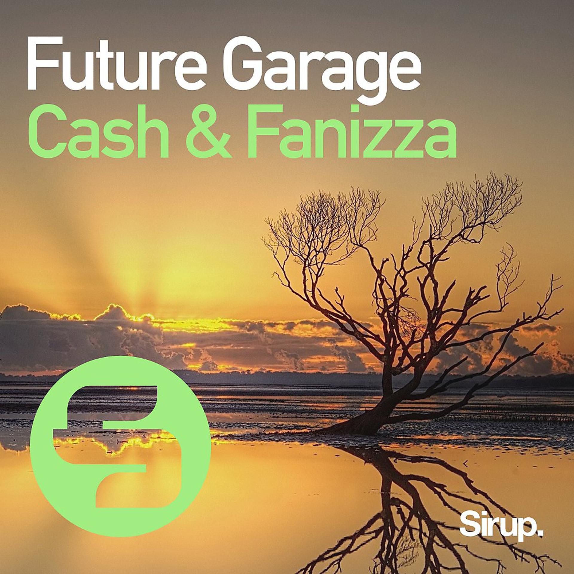 Постер альбома Future Garage