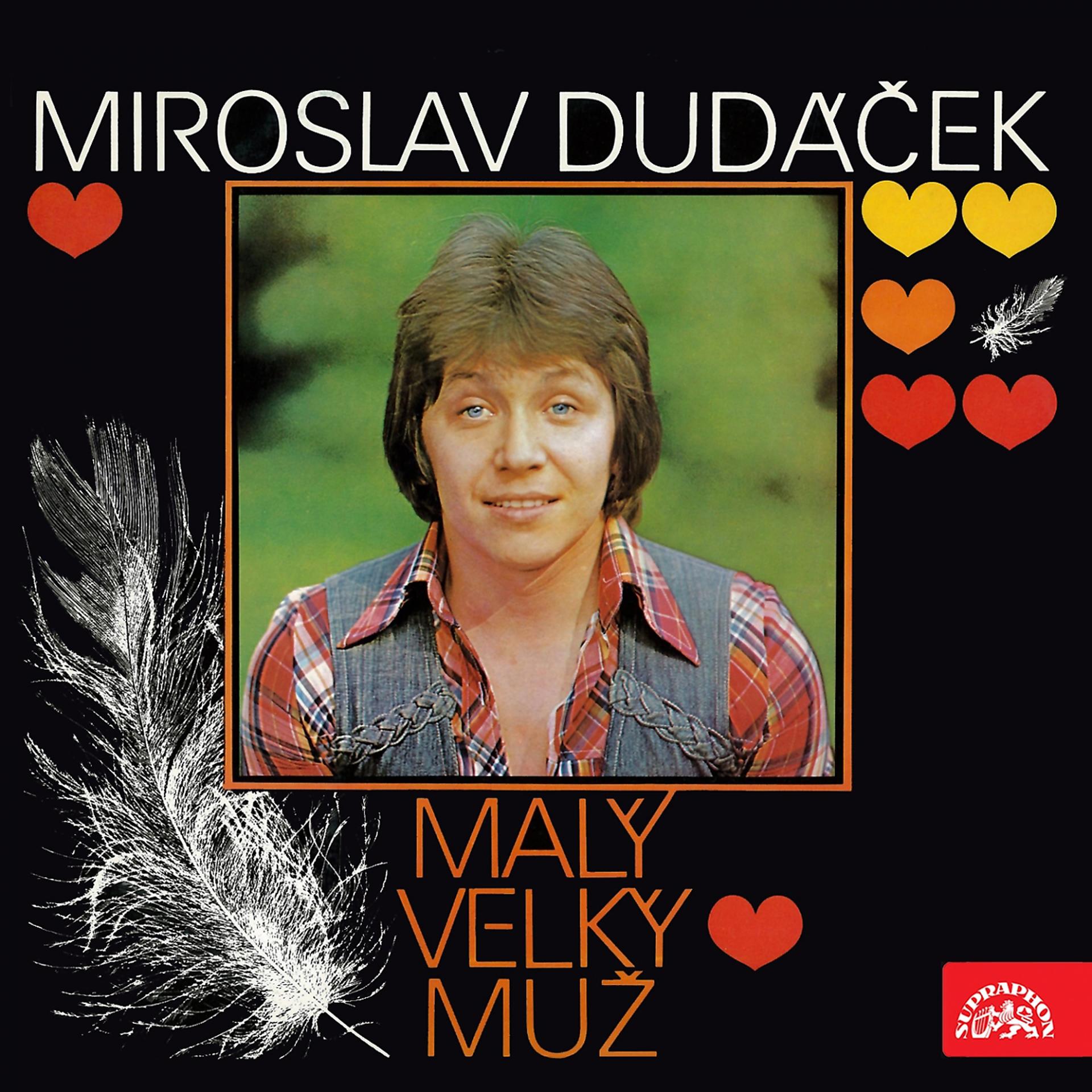 Постер альбома Malý Velký Muž