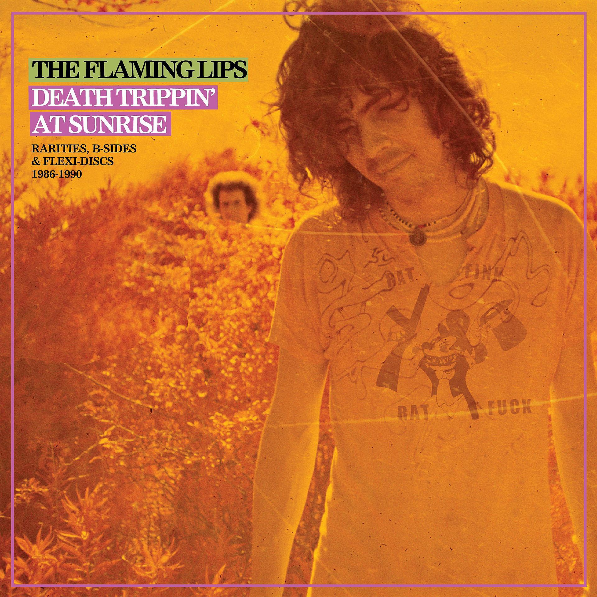 Постер альбома Seeing the Unseeable: The Complete Studio Recordings of the Flaming Lips 1986-1990