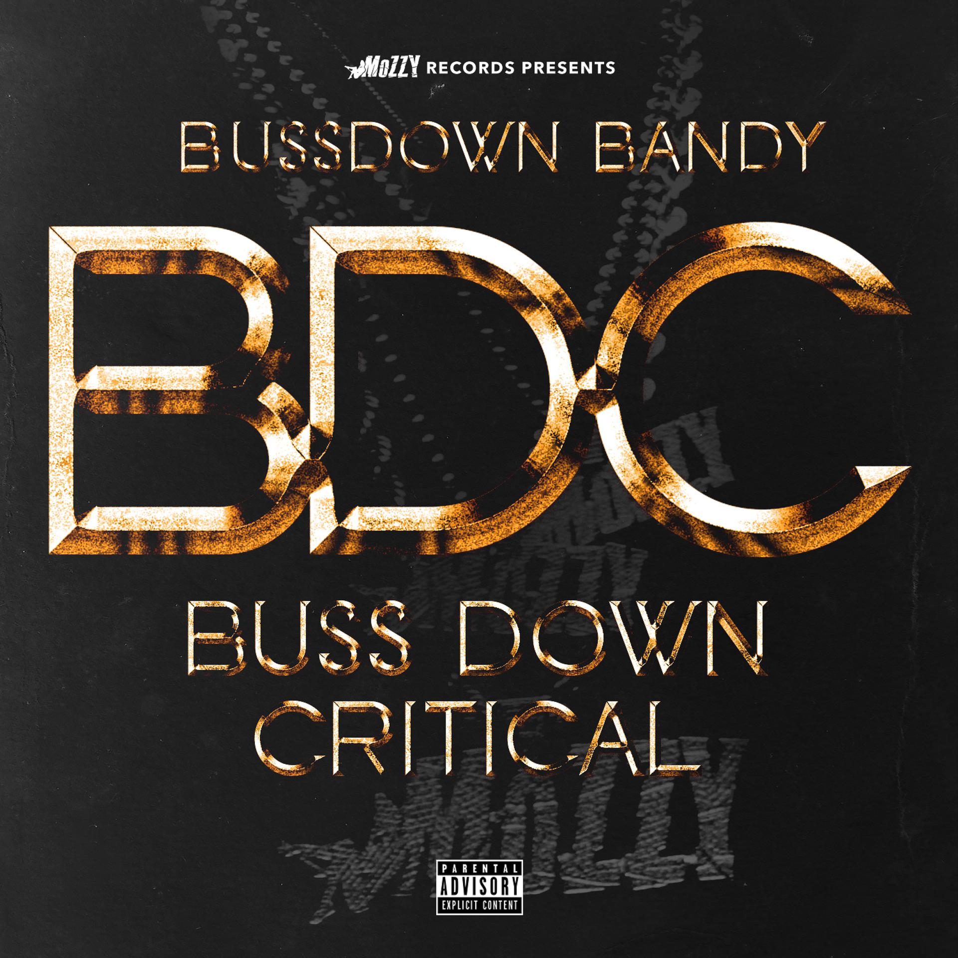 Постер альбома Bussdown Critical BDC
