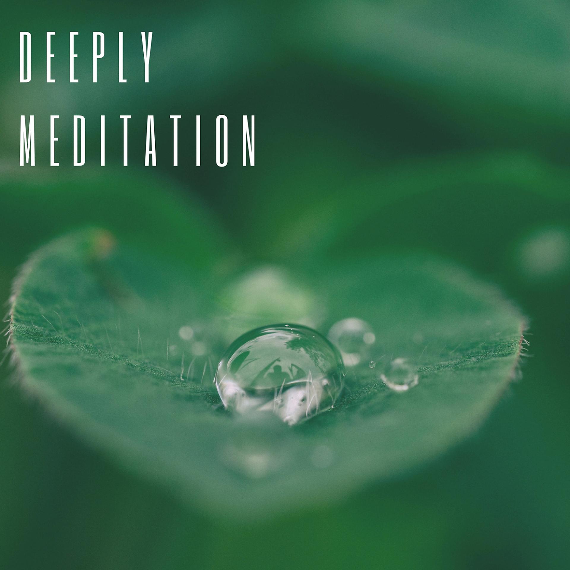 Постер альбома Deeply Meditation