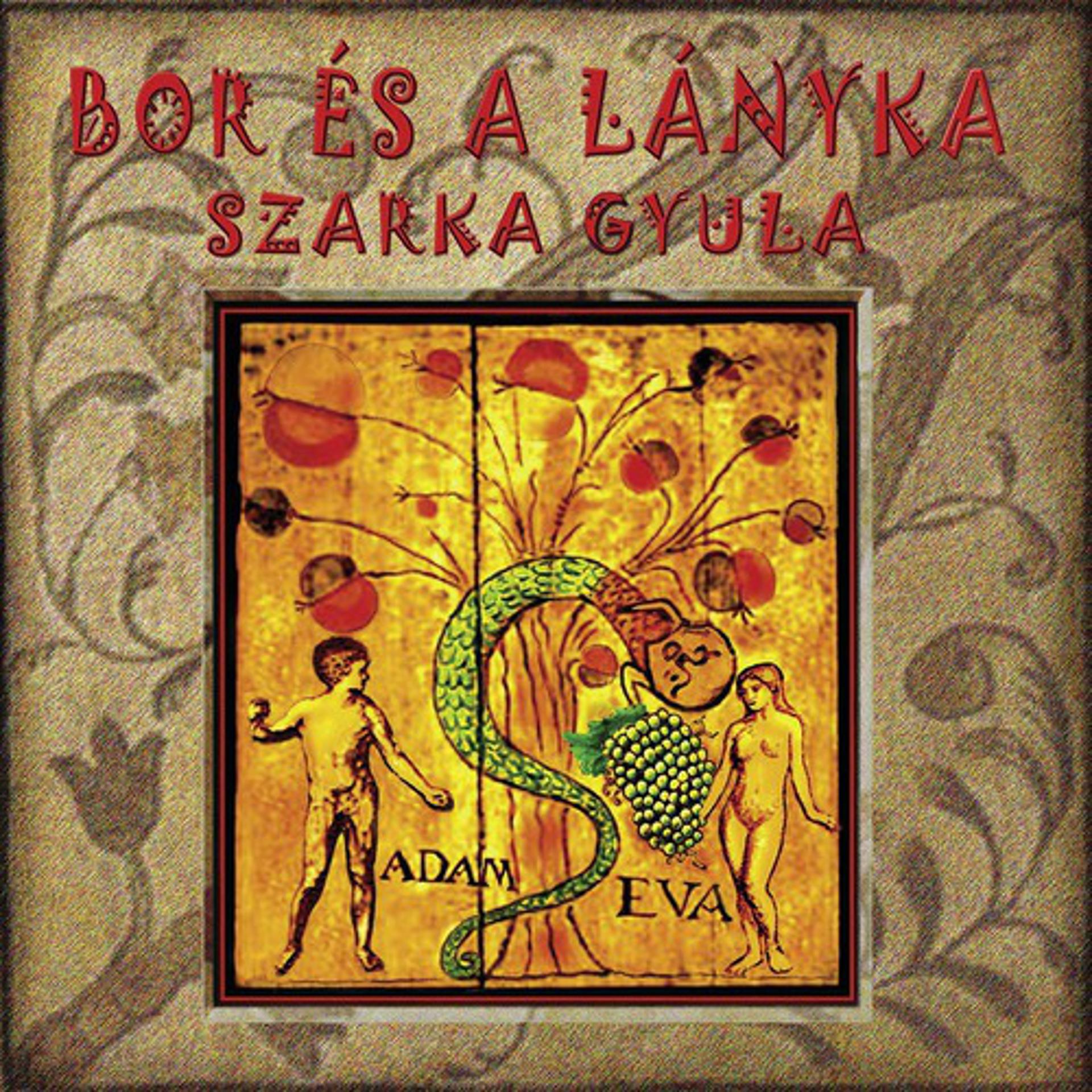 Постер альбома Bor És A Lányka