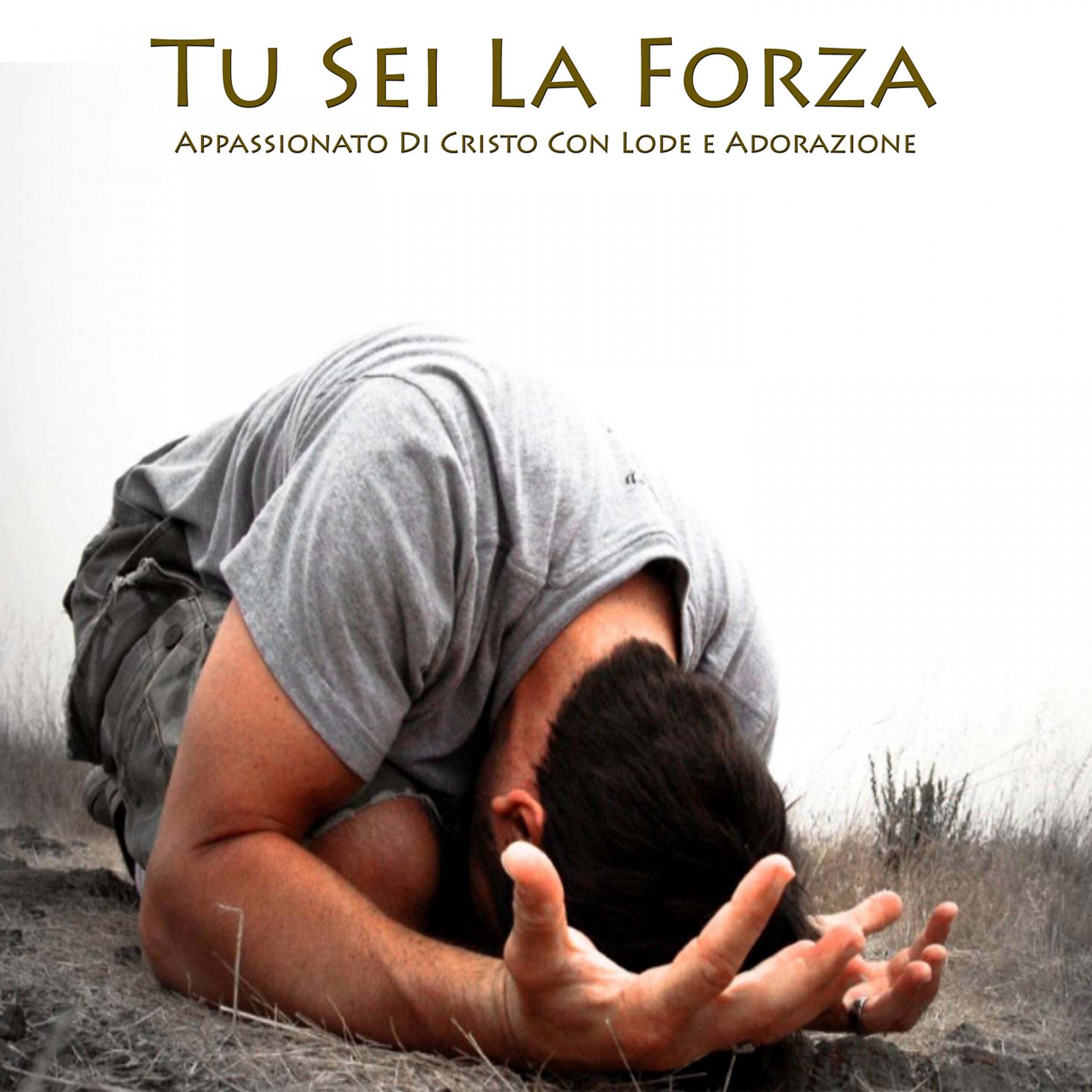 Постер альбома Tu Sei La Forza