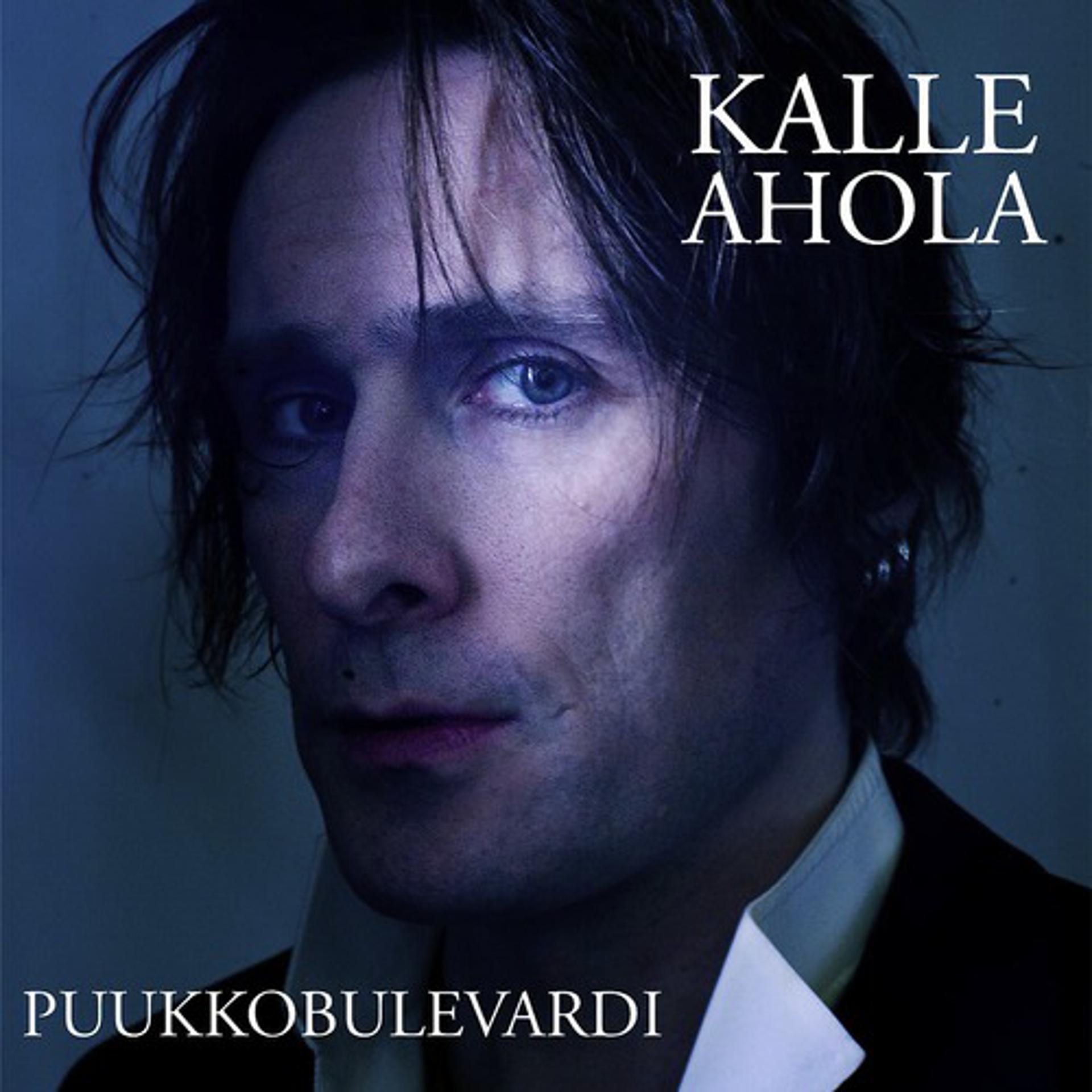 Постер альбома Puukkobulevardi