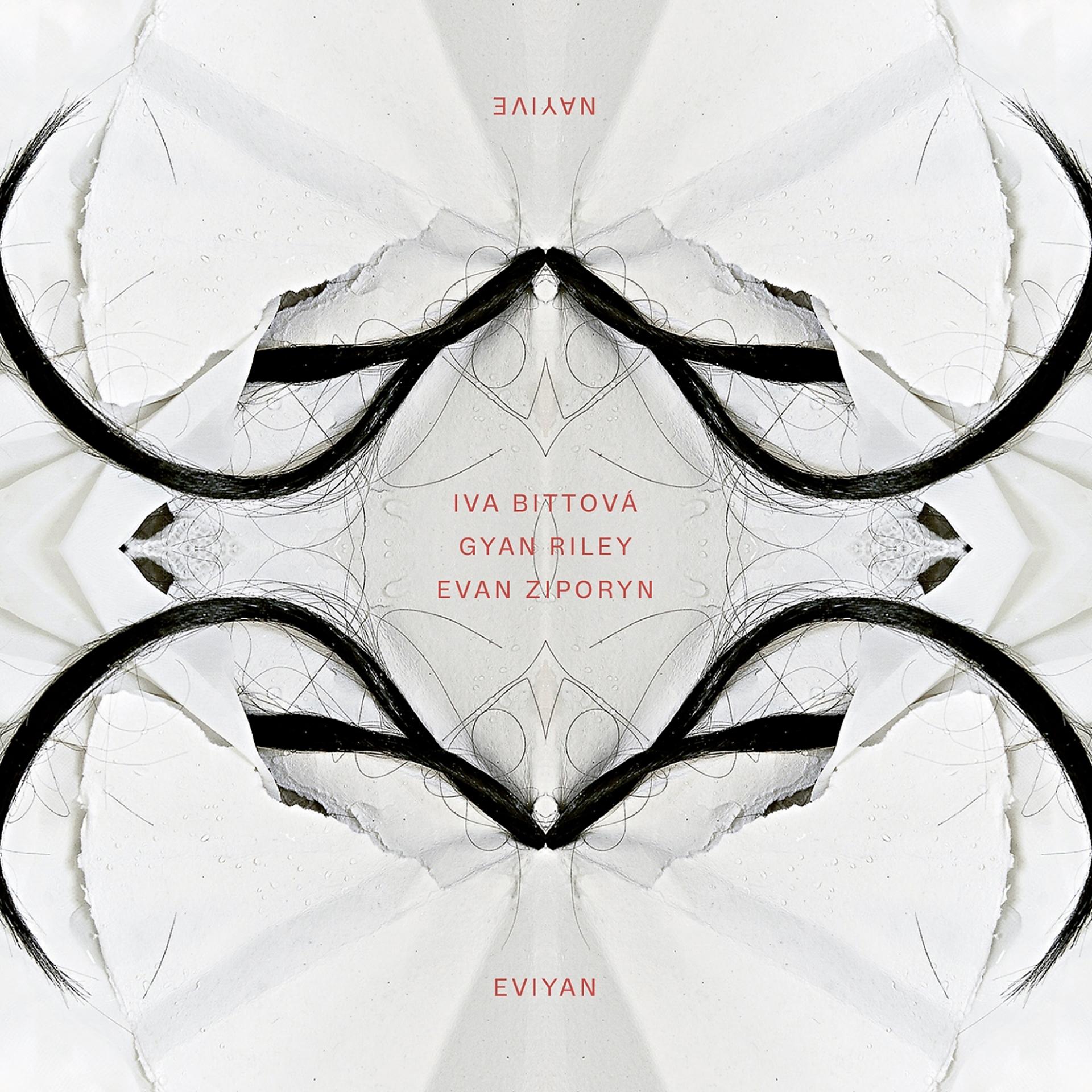 Постер альбома Eviyan - Nayive