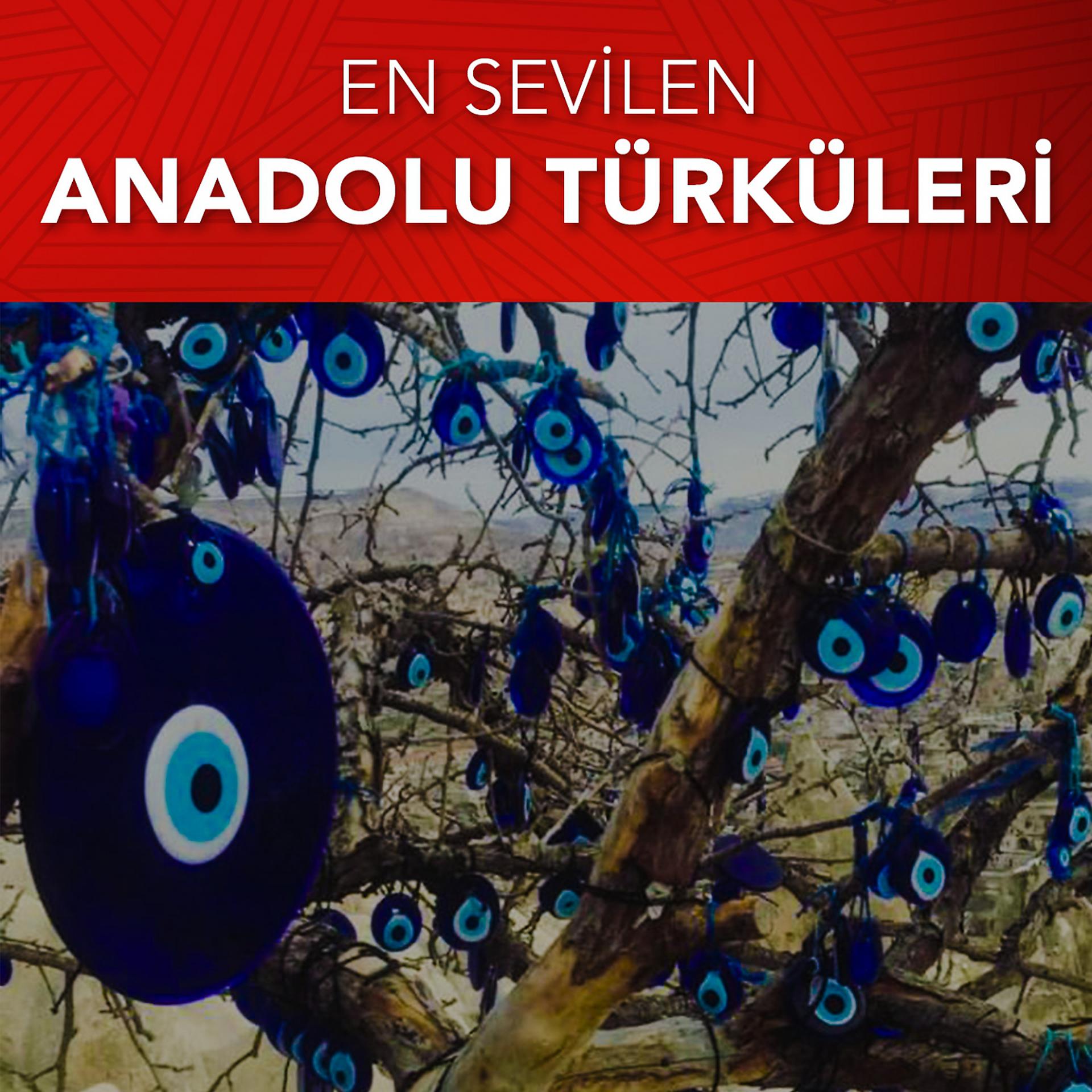 Постер альбома En Sevilen Anadolu Türküleri