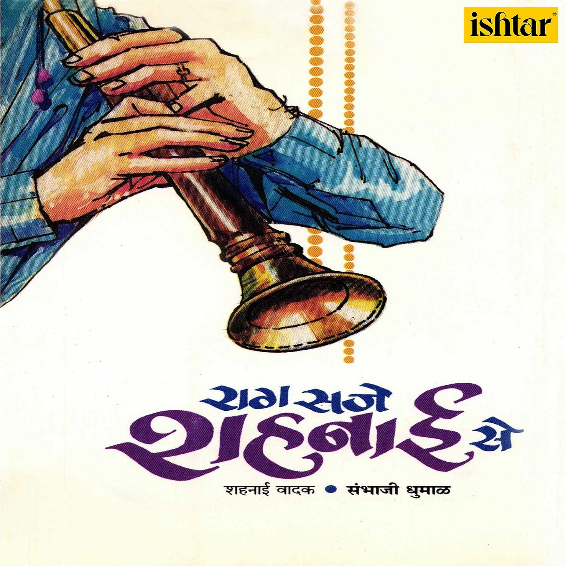Постер альбома Raag Saje Shahanai Se