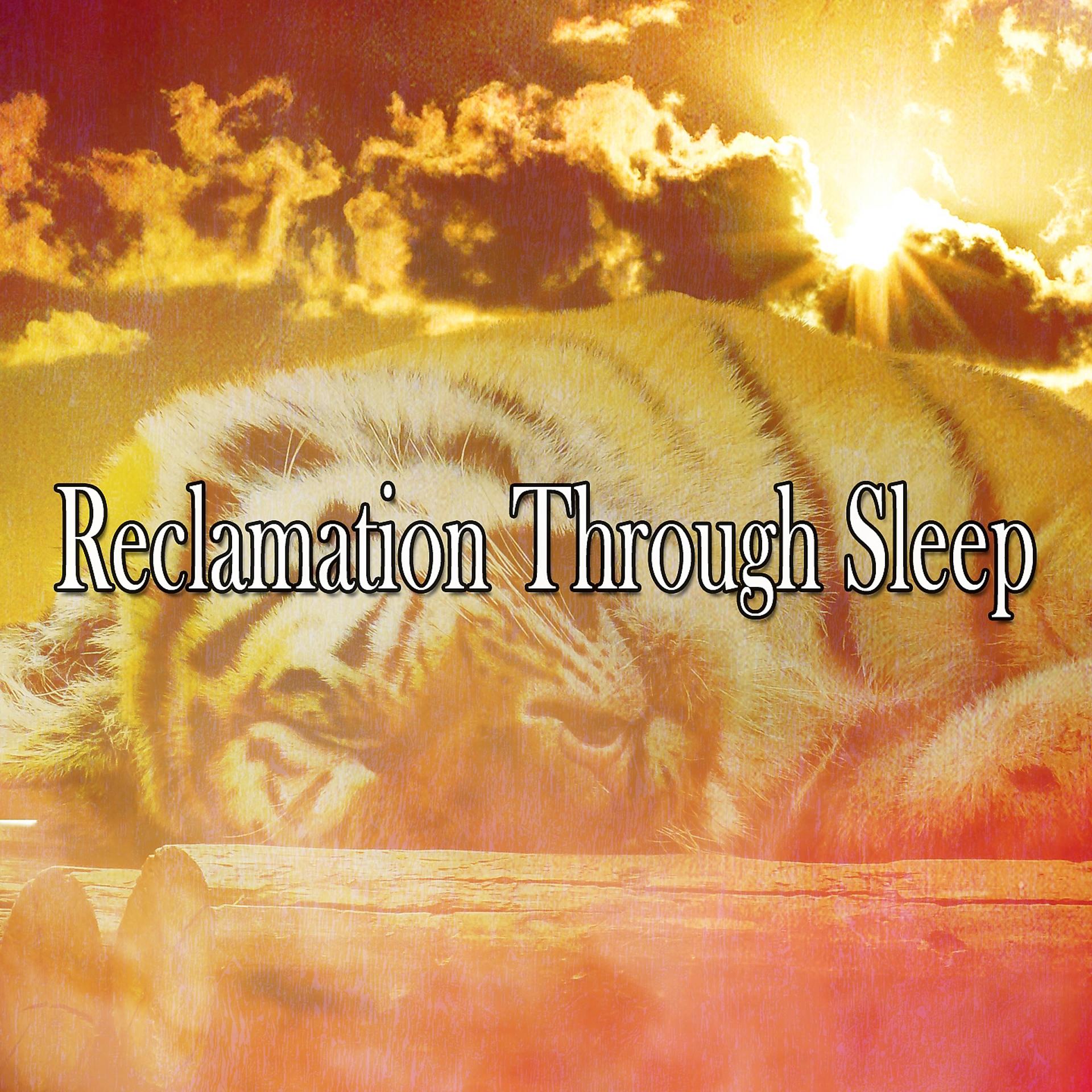 Постер альбома Reclamation Through Sleep