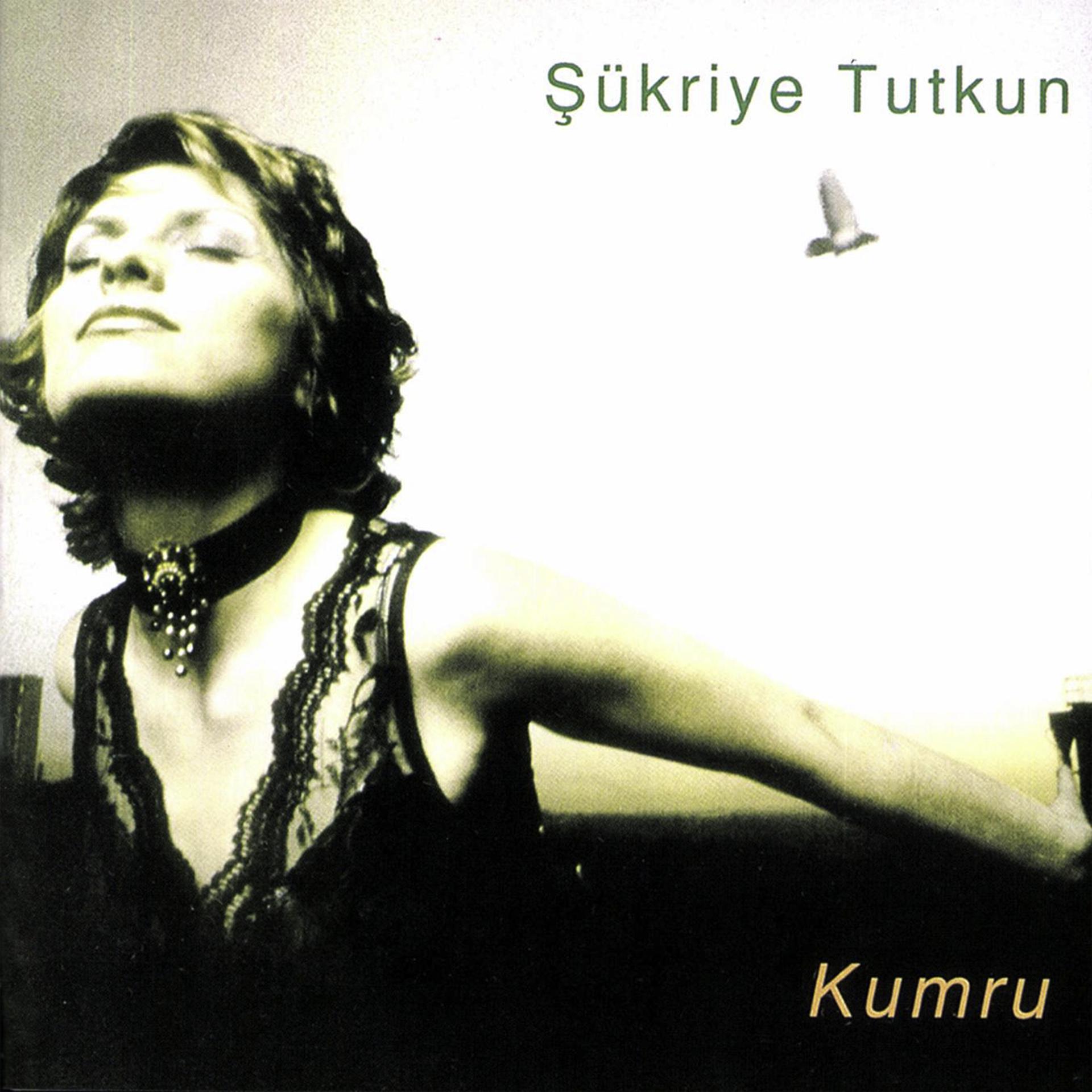 Постер альбома Kumru