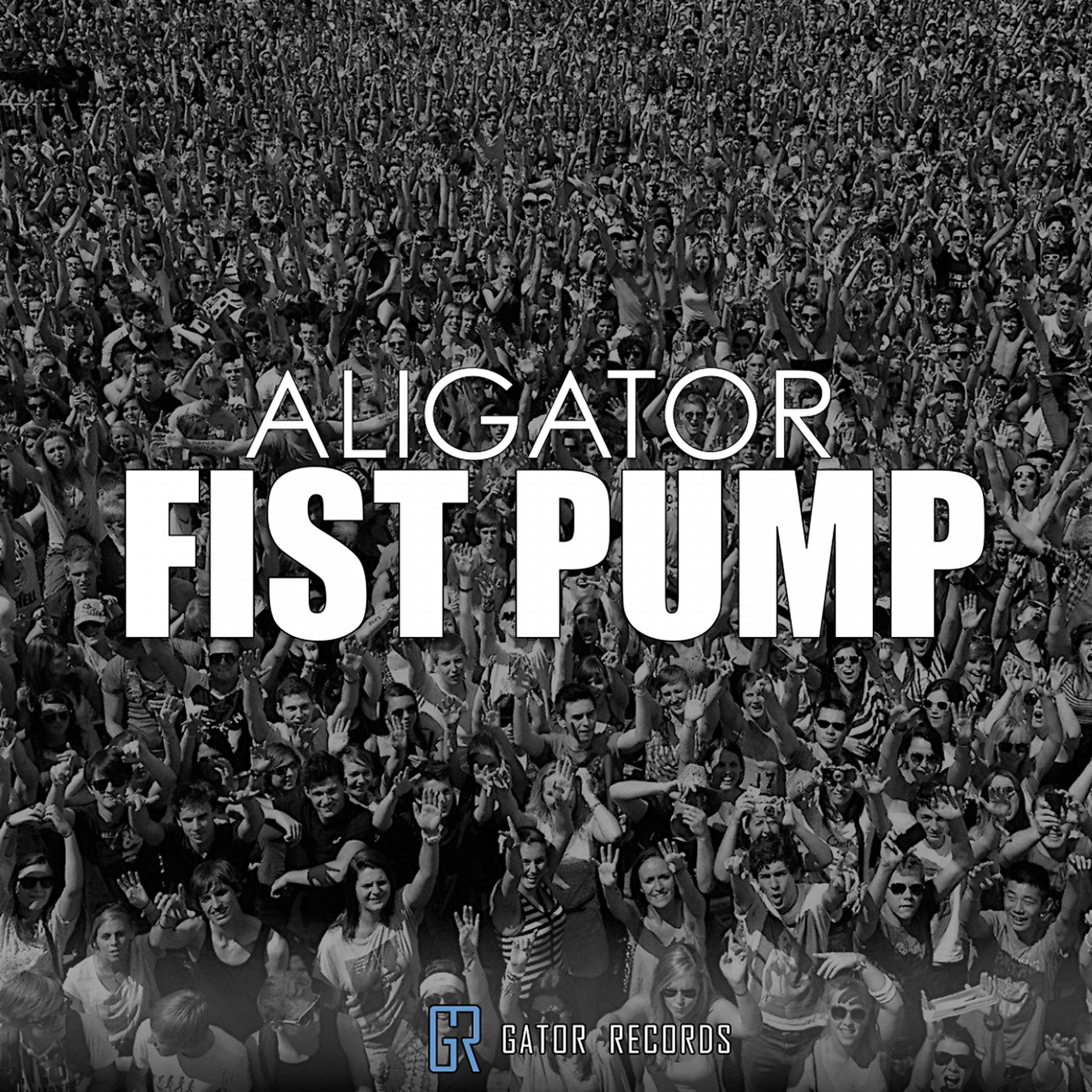 Постер альбома Fist Pump
