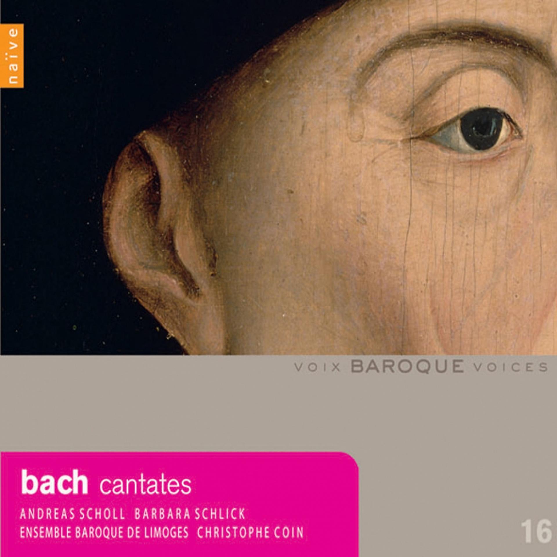 Постер альбома Bach: Cantatas BWV 6, 41 & 68