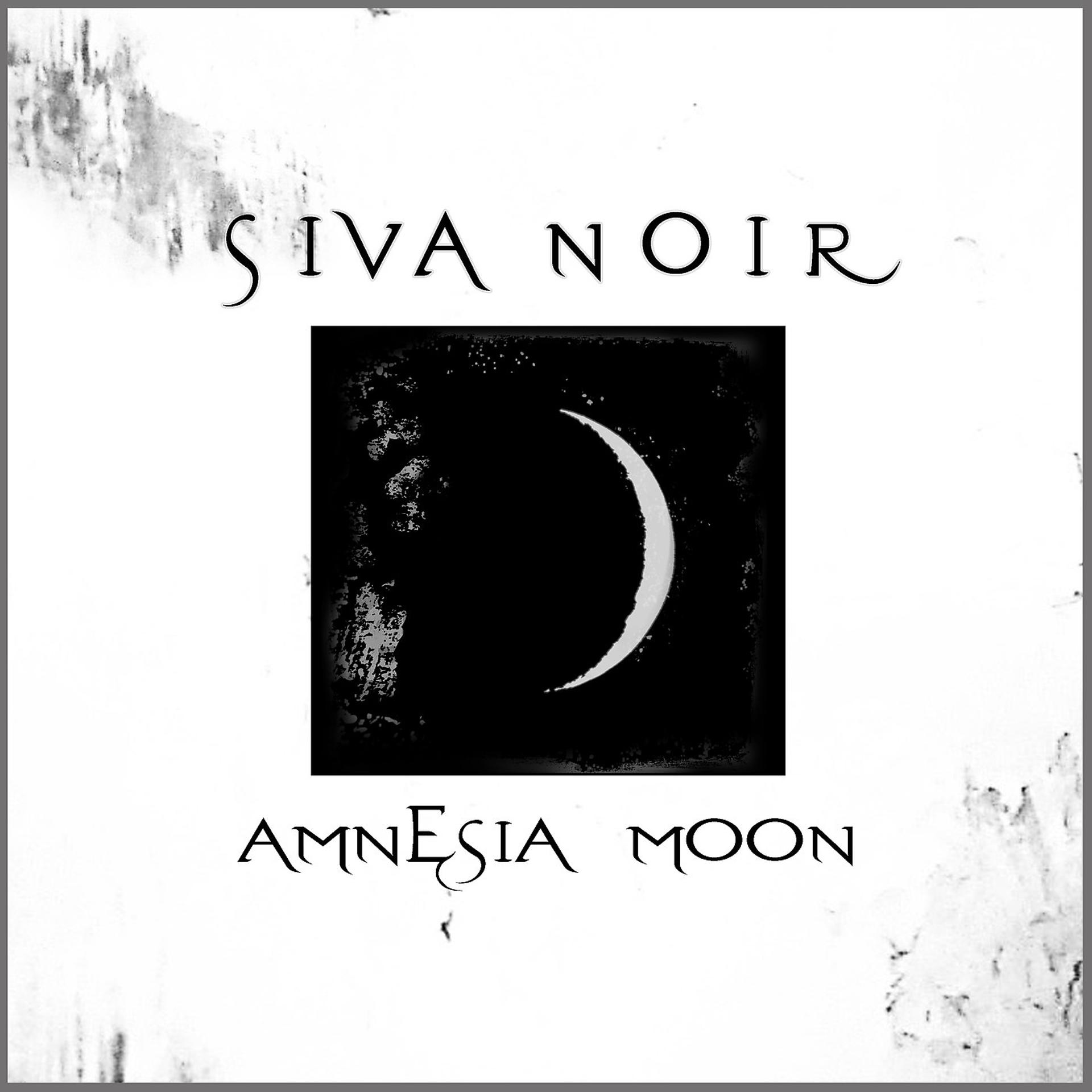 Постер альбома Amnesia Moon