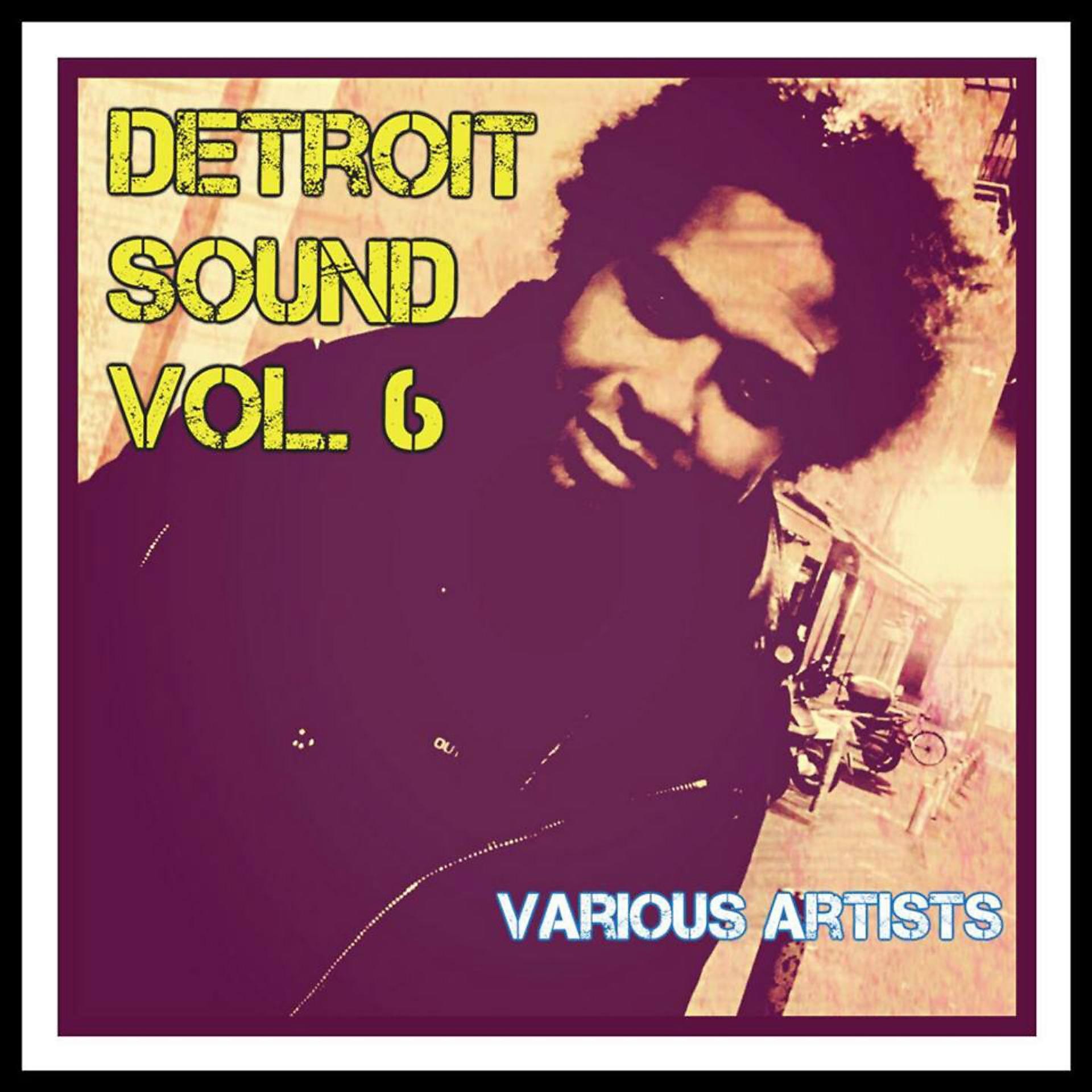 Постер альбома Detroit Sound, Vol. 6