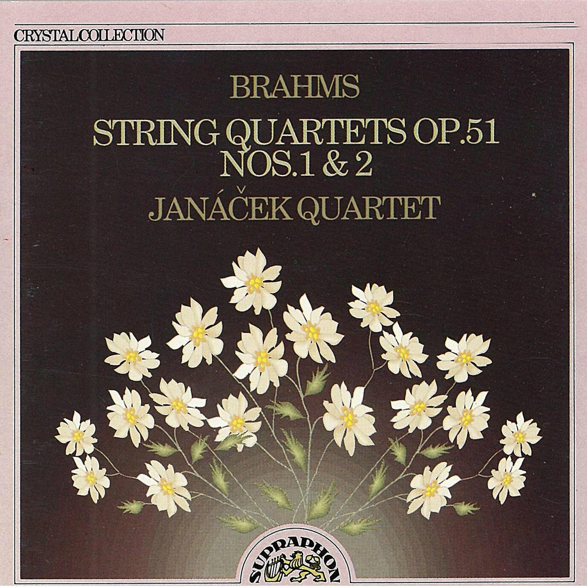 Постер альбома Brahms: String Quartets