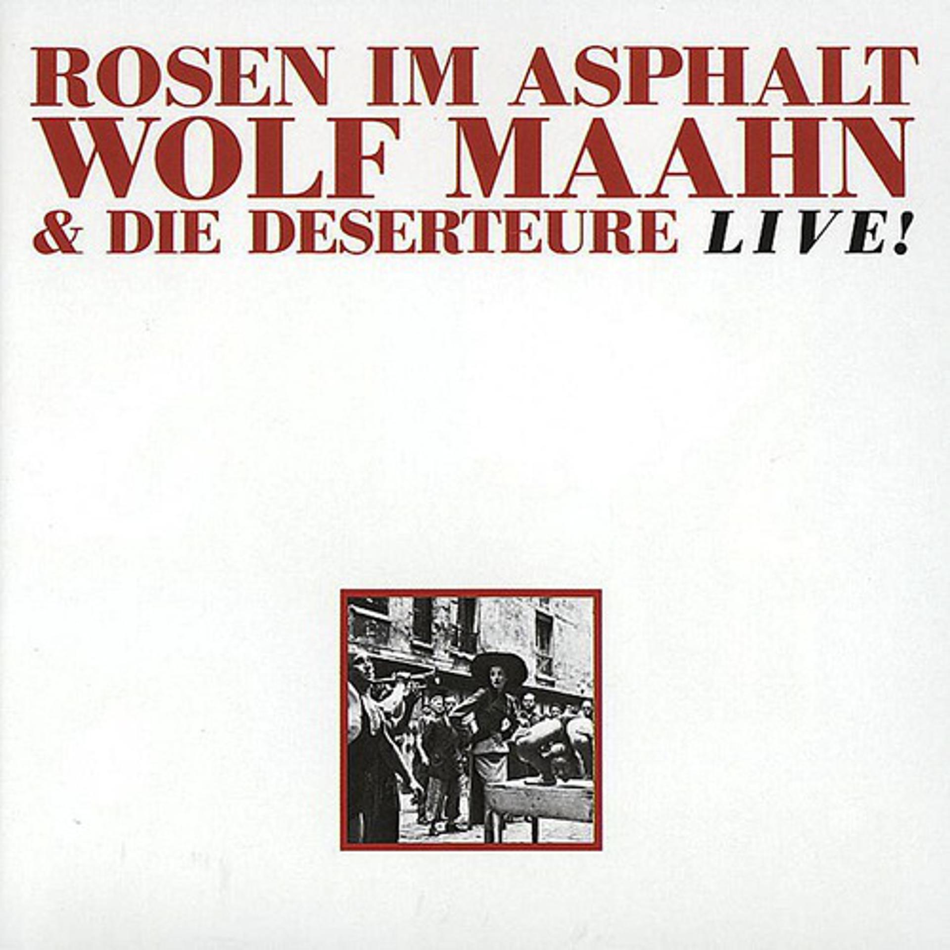Постер альбома Rosen Im Asphalt