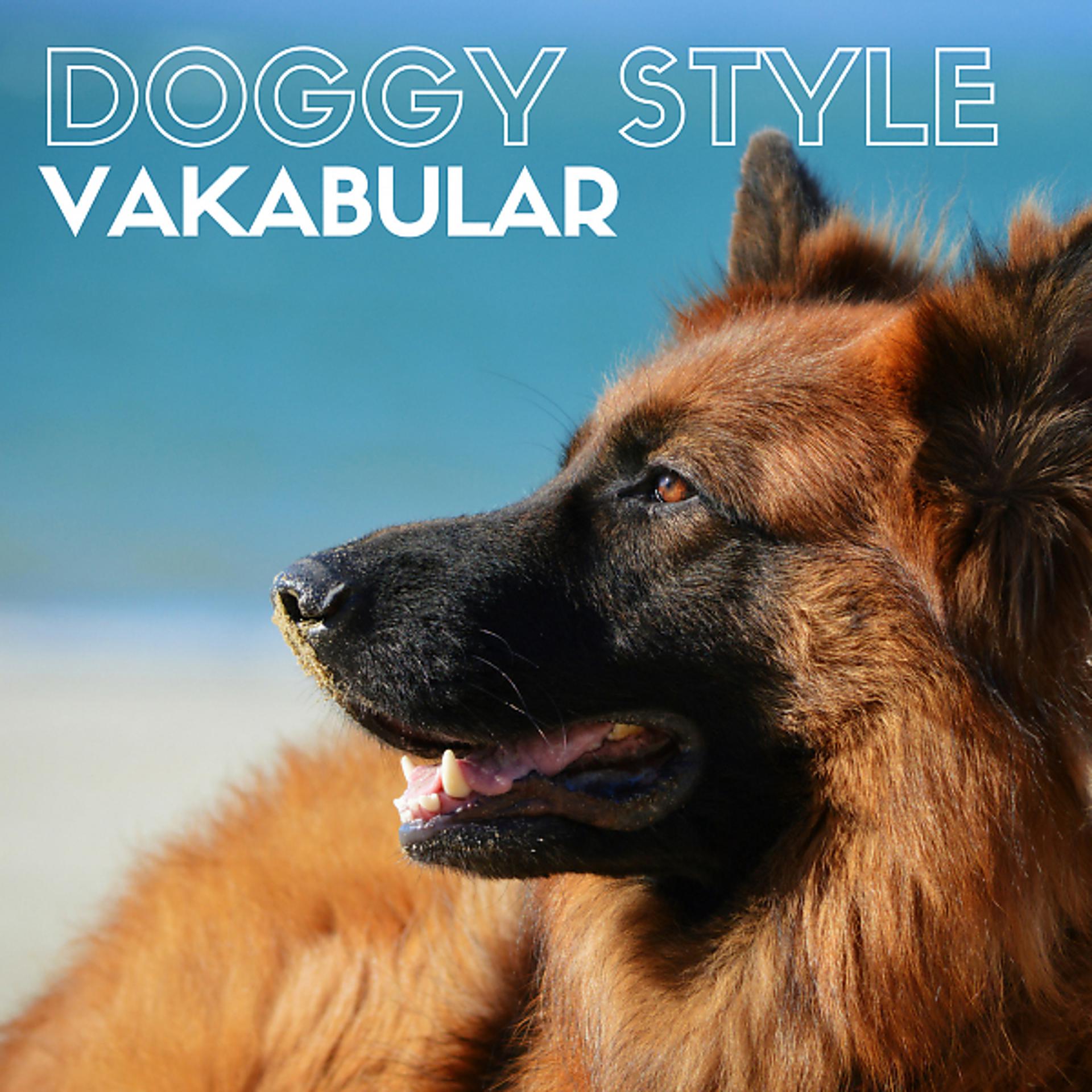 Постер альбома Doggy Style