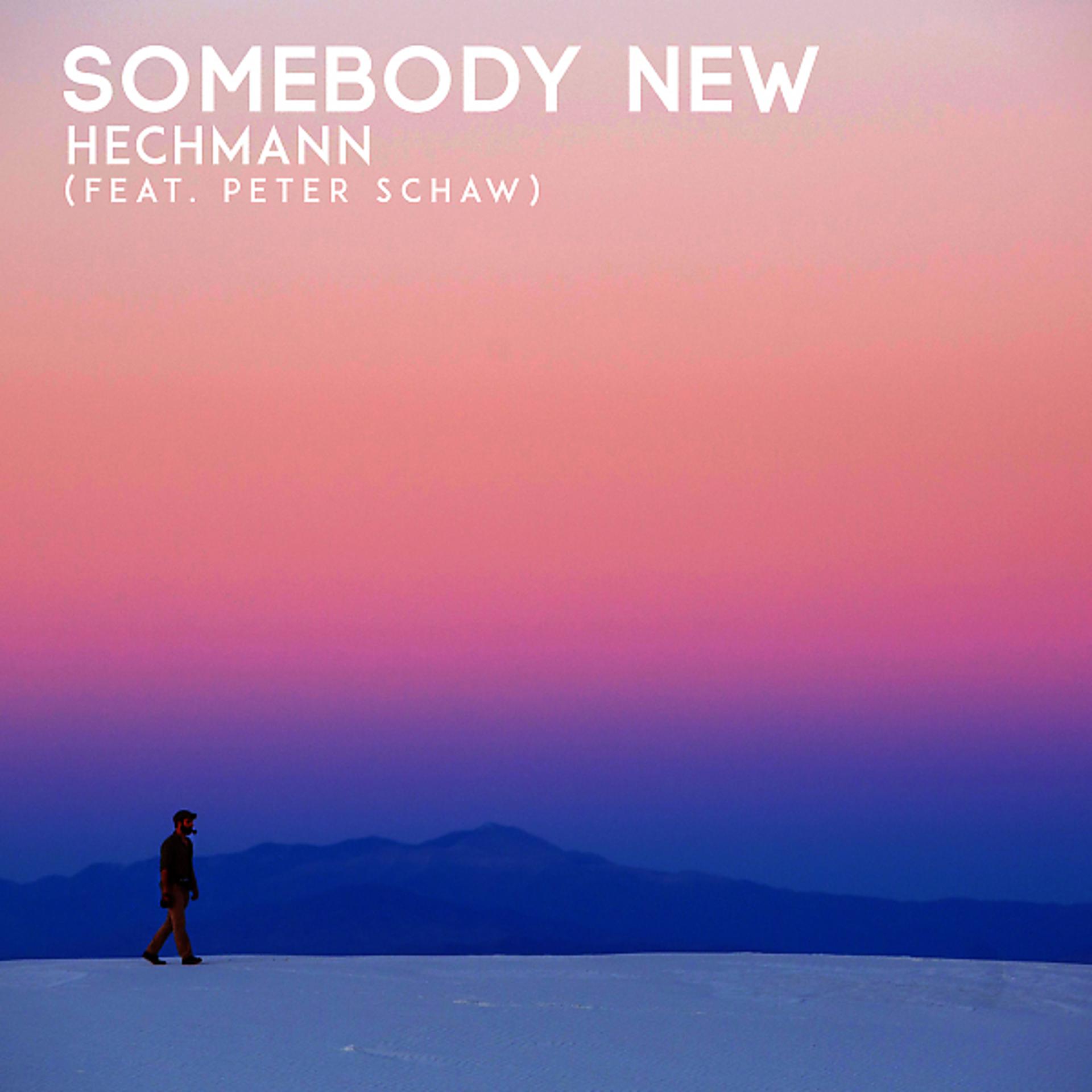 Постер альбома Somebody New (feat. Peter Schaw)