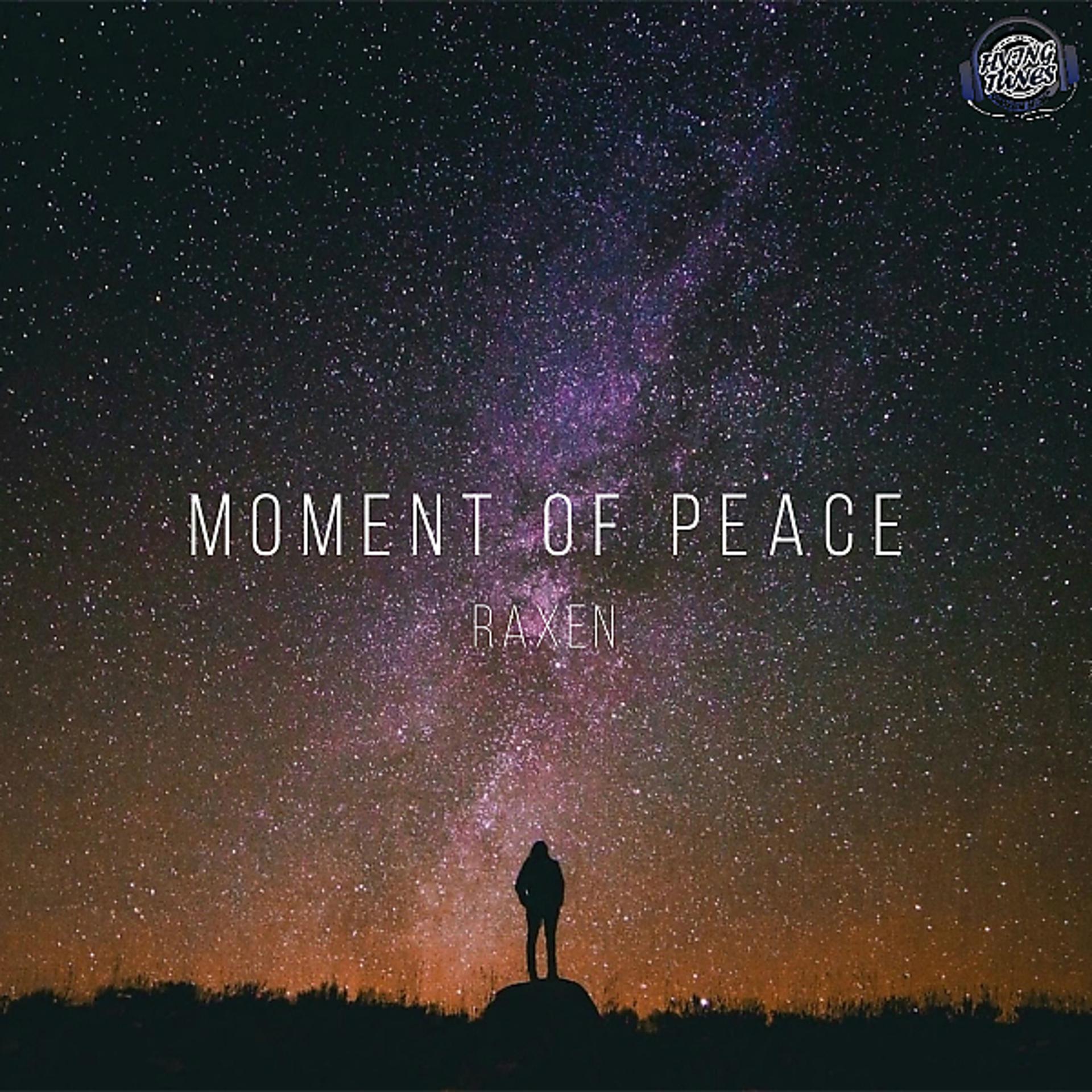 Постер альбома Moment Of Peace