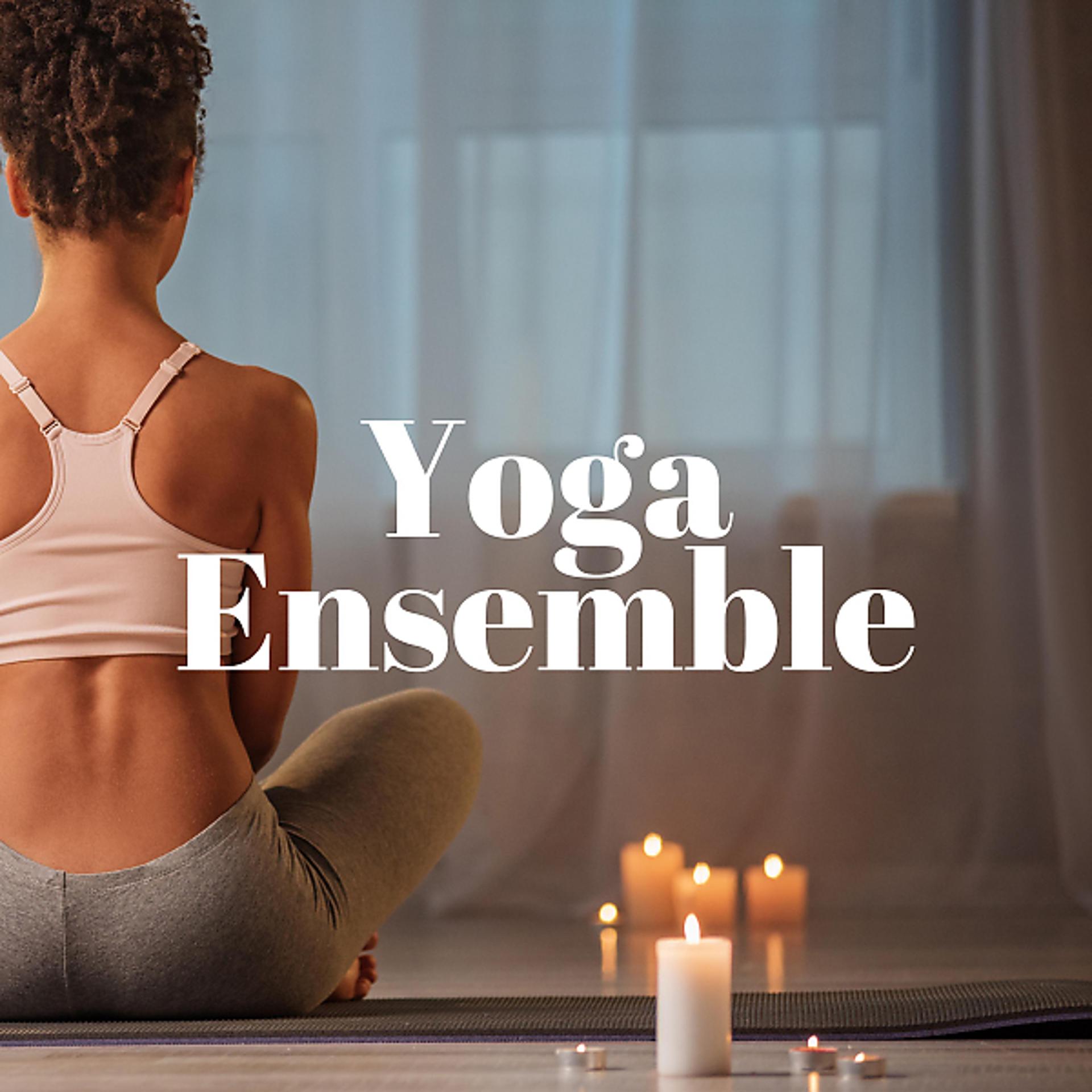 Постер альбома Yoga Ensemble: Relaxing Music for Aerial Yoga, Hot Yoga, Vinyasa Yoga, Power Yoga, Restorative Yoga