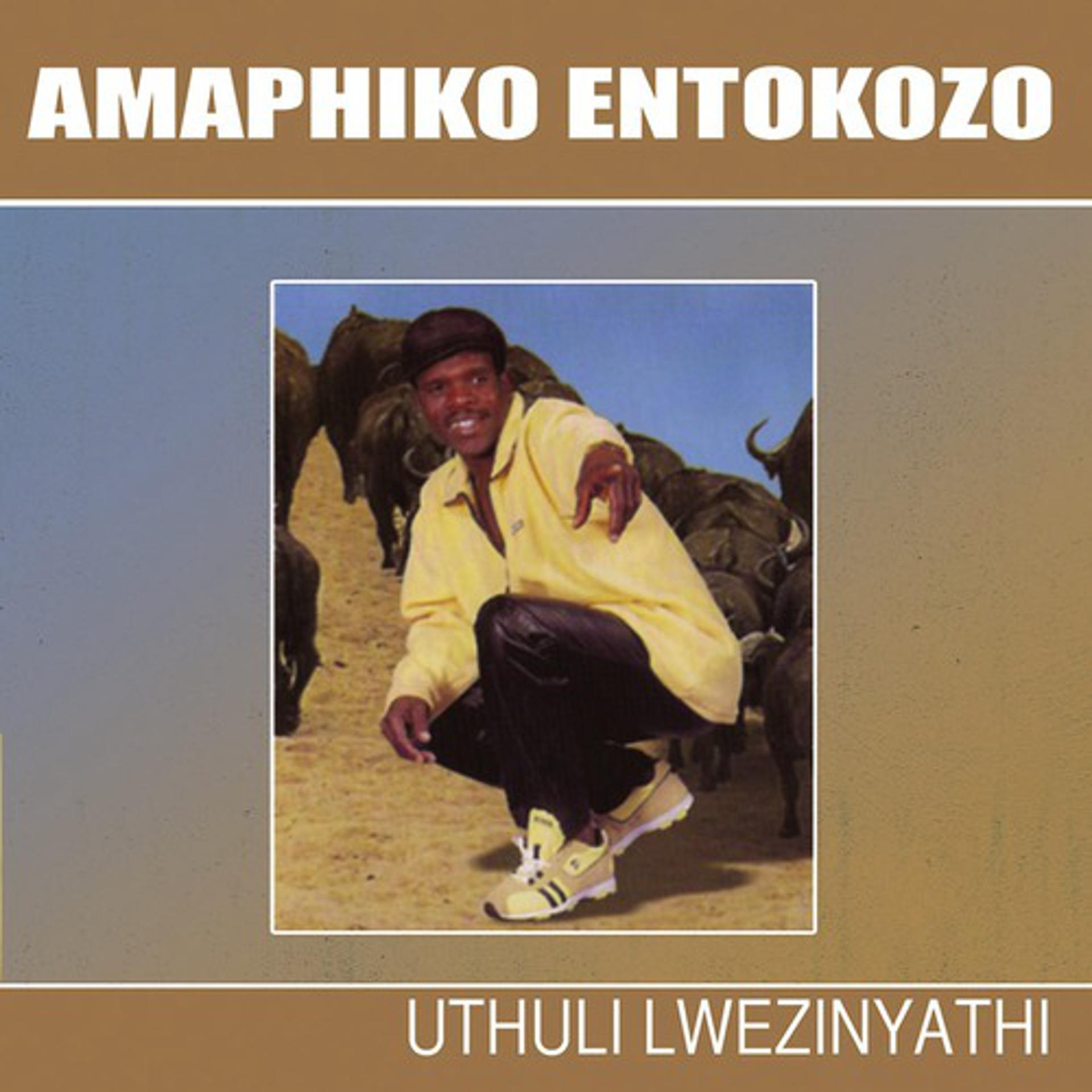 Постер альбома Uthuli Lwezinyathi