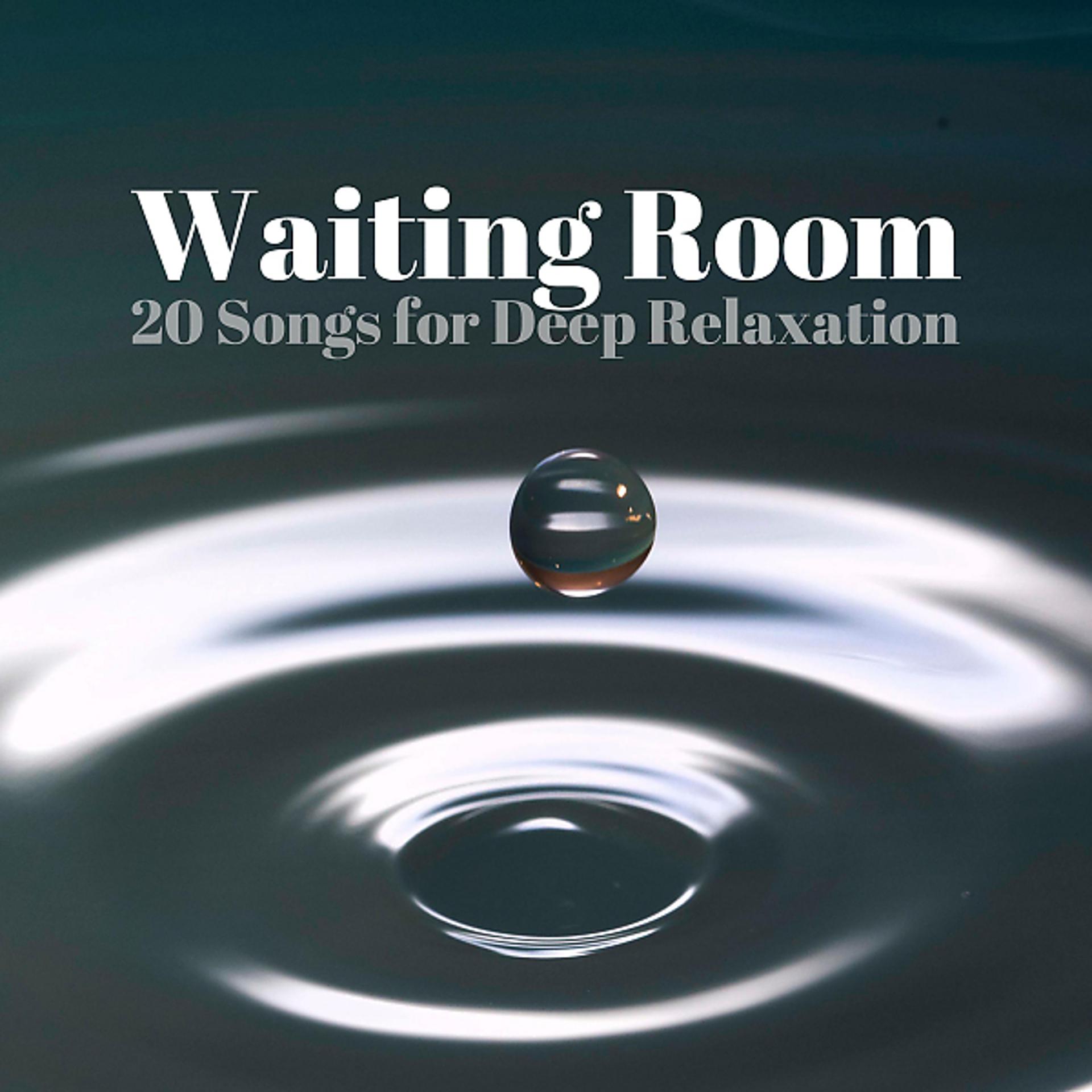Постер альбома Waiting Room - 20 Songs for Deep Relaxation, Calming Nature Sounds