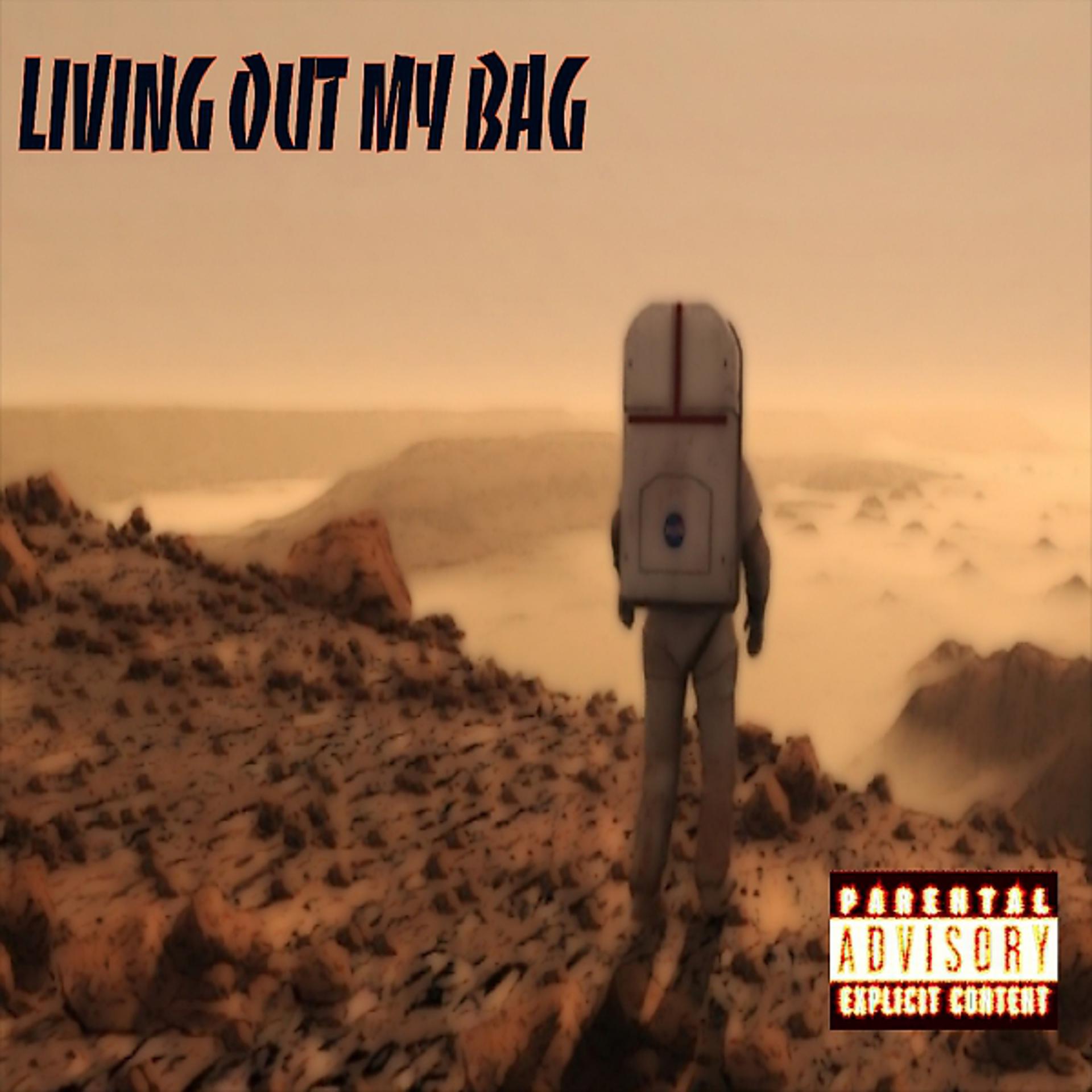 Постер альбома Living Out My Bag - Sirius Punch