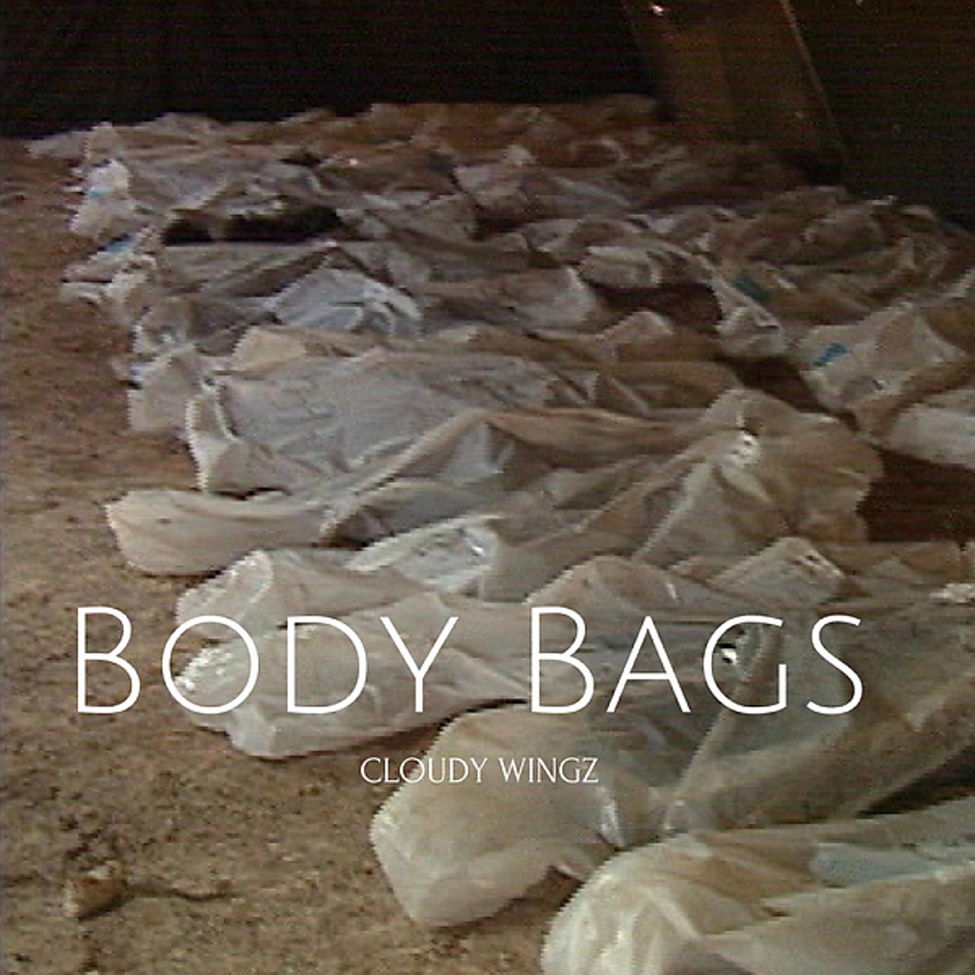 Постер альбома Body Bags
