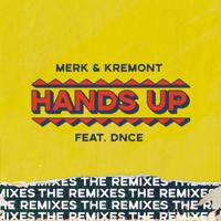 Постер альбома Hands Up - The Remixes