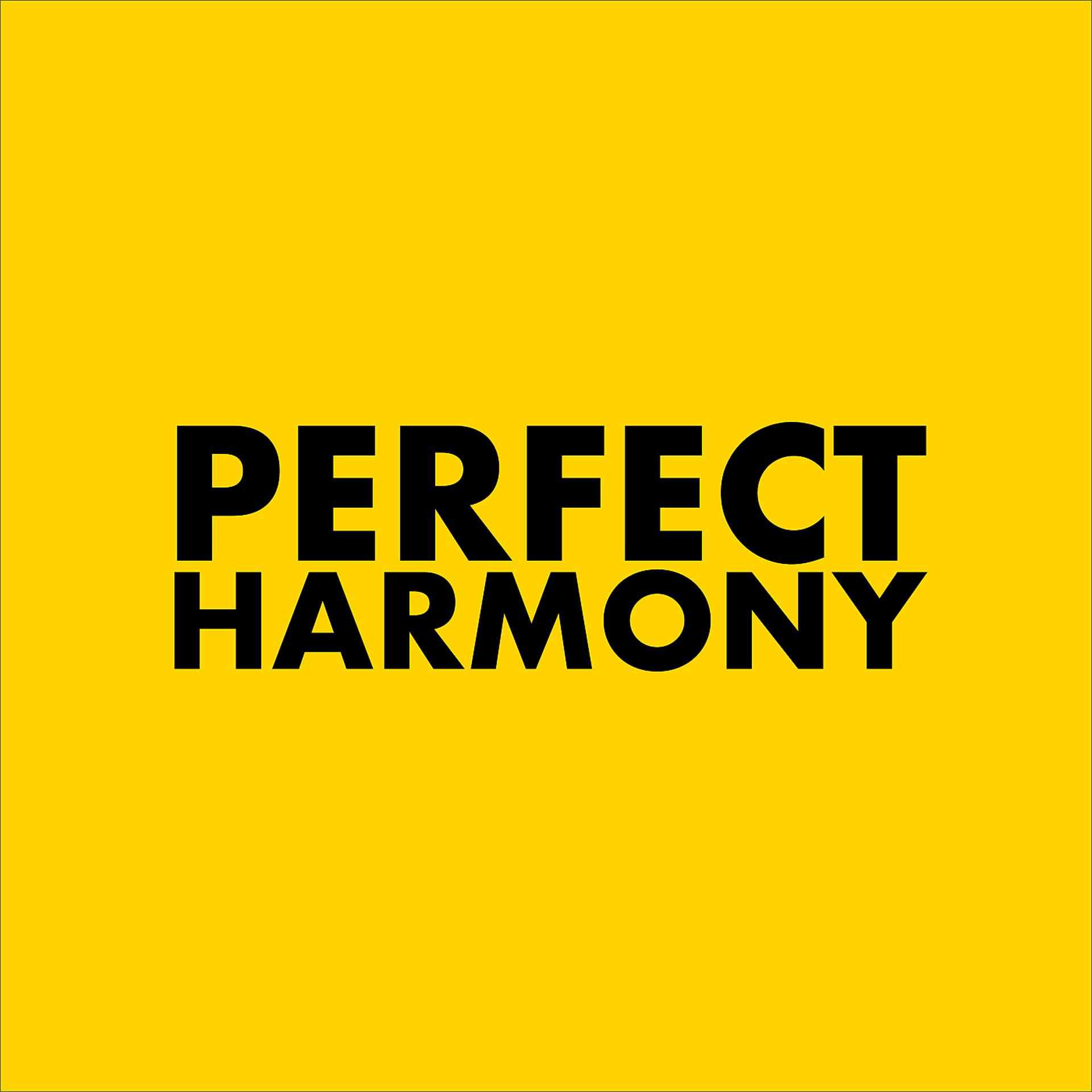 Постер альбома Perfect Harmony