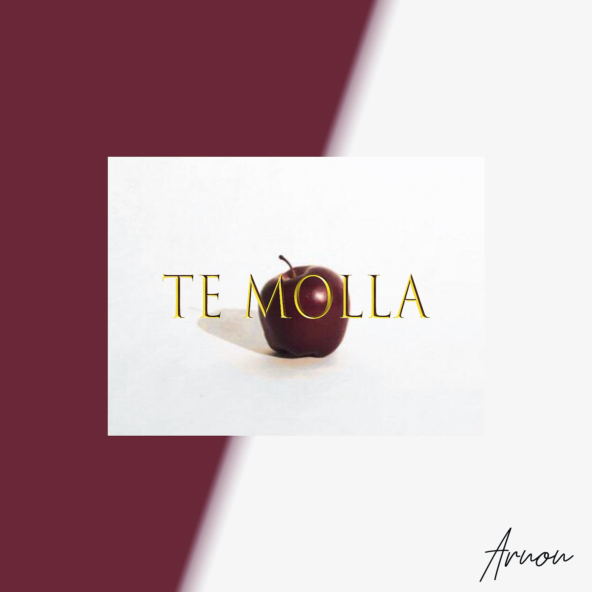 Постер альбома Te Molla (feat. Killua)