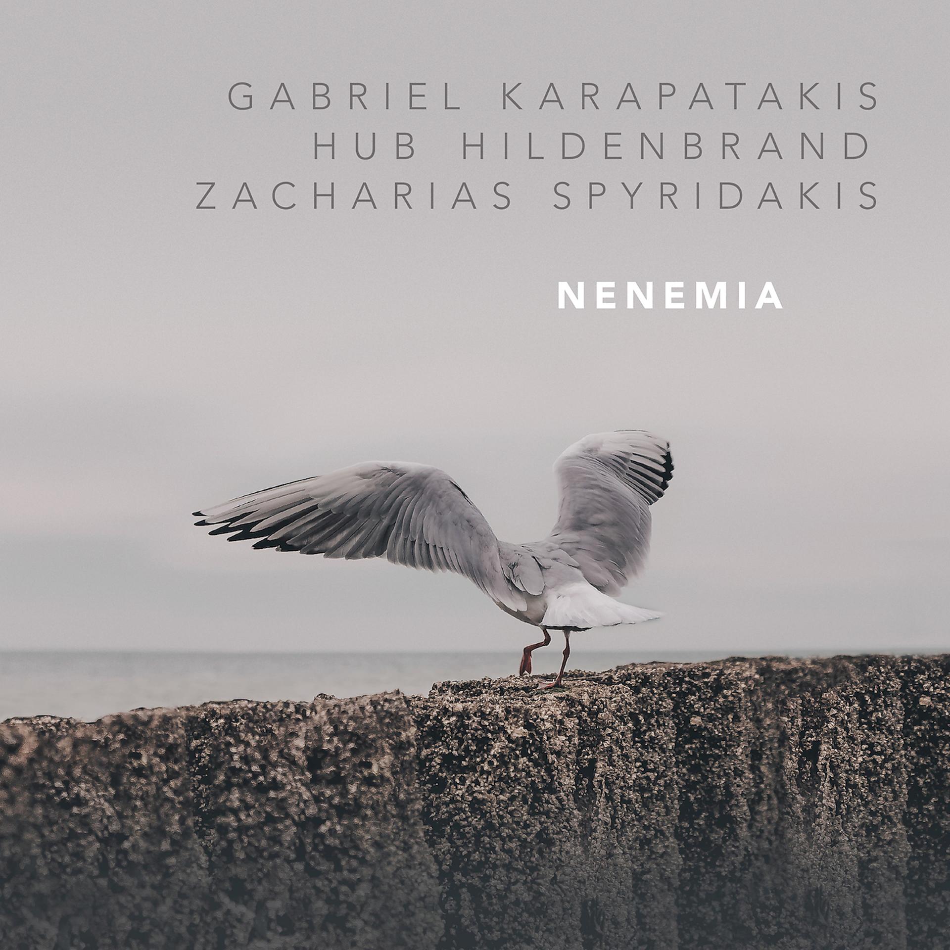 Постер альбома Nenemia
