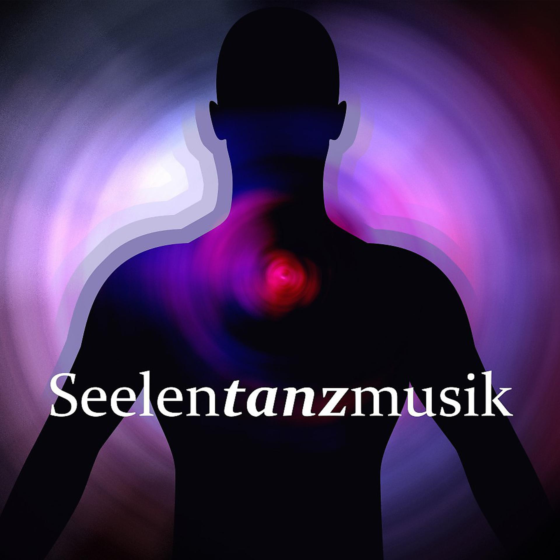Постер альбома Seelentanzmusik: Elektronische Selektion