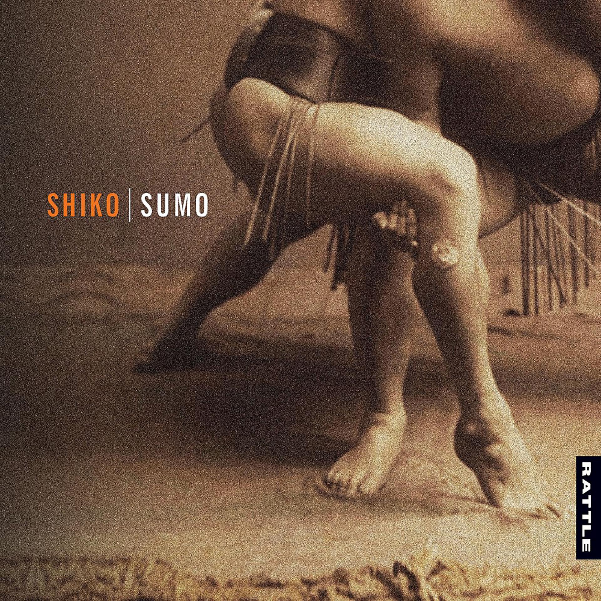Постер альбома Shiko