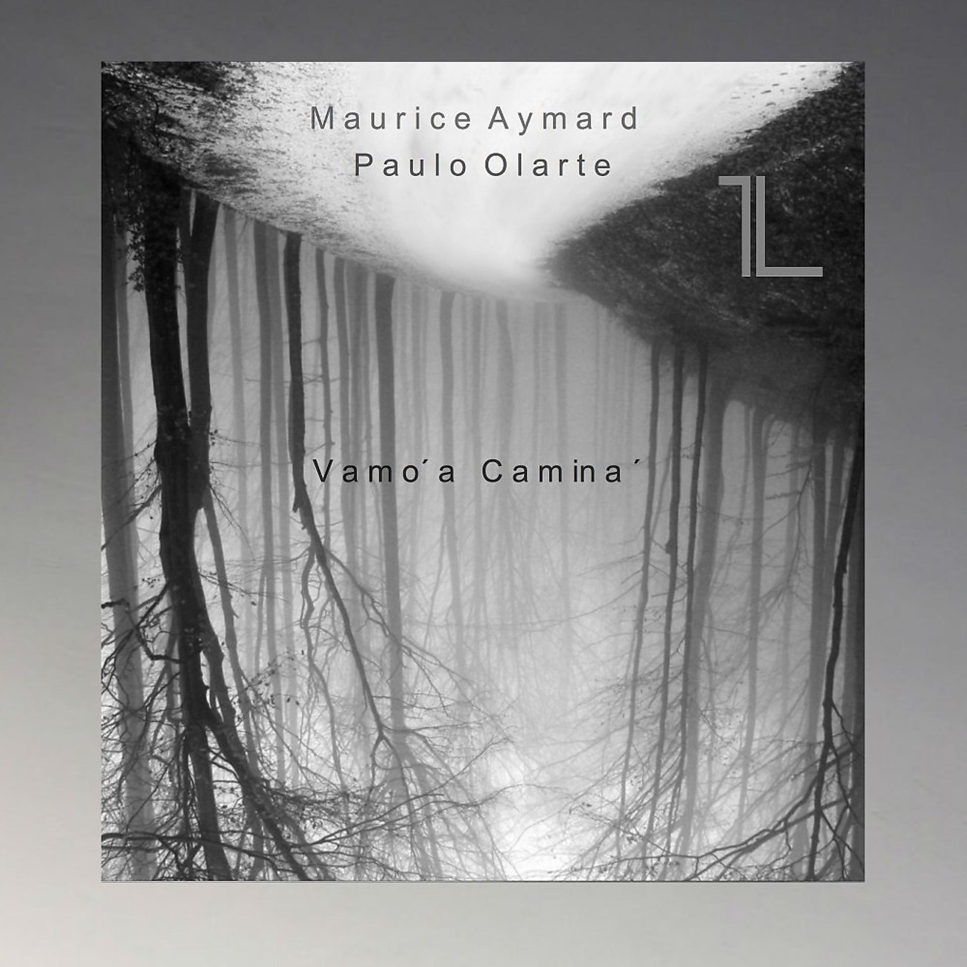 Постер альбома Vamo a Camina