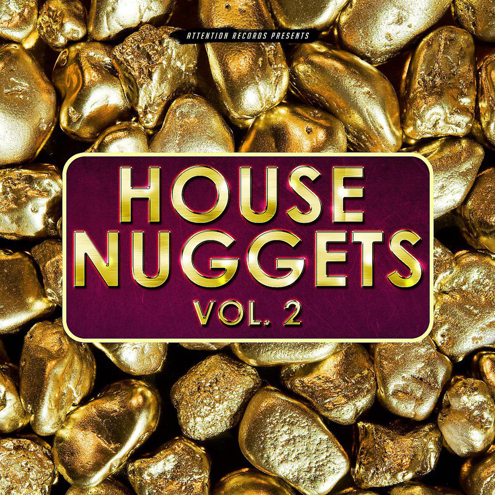 Постер альбома House Nuggets, Vol. 2