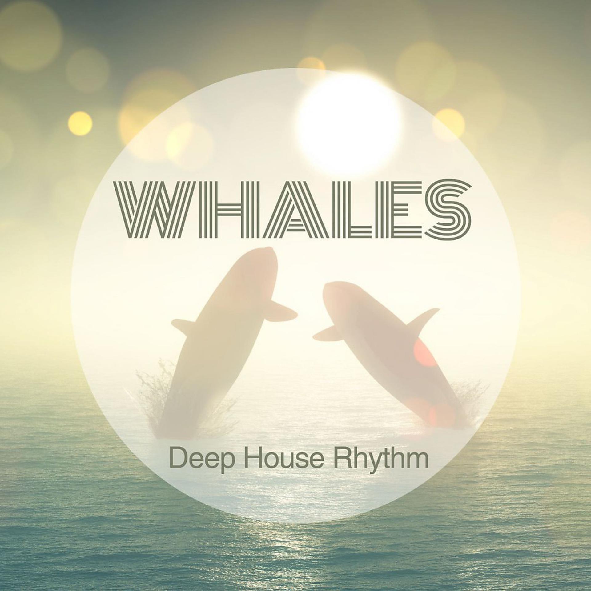 Постер альбома Whales, Deep House Rhythm
