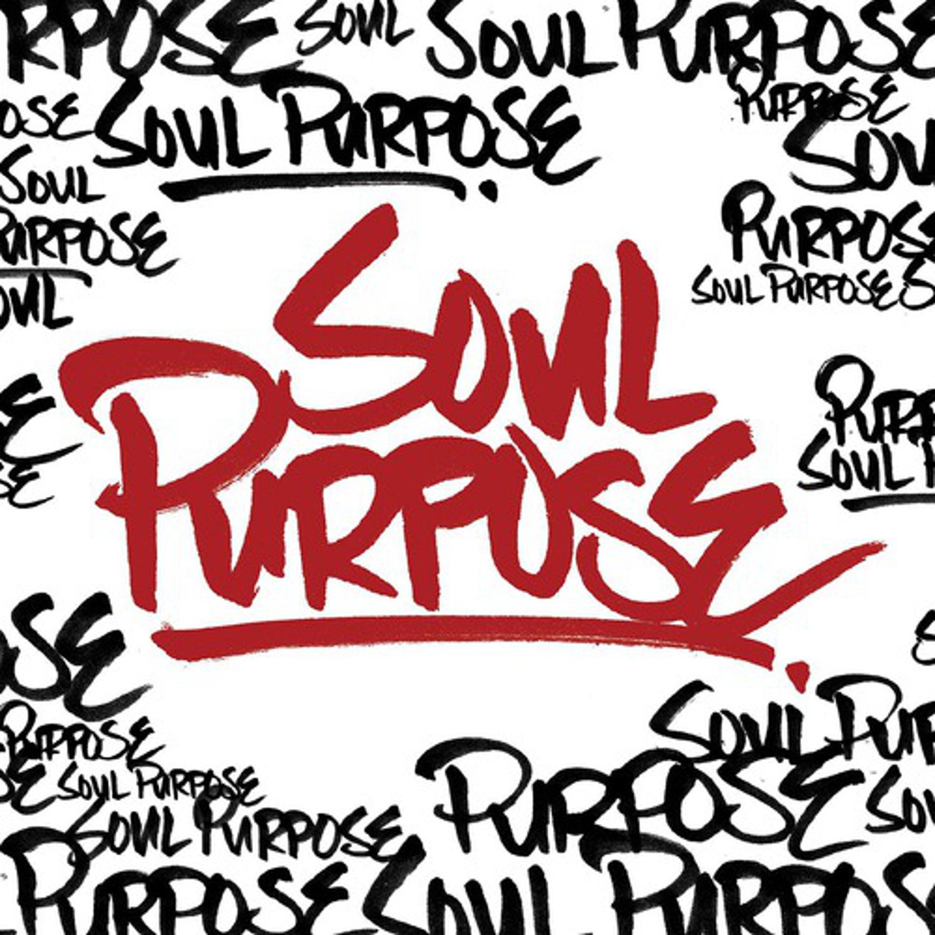 Постер альбома Soul Purpose