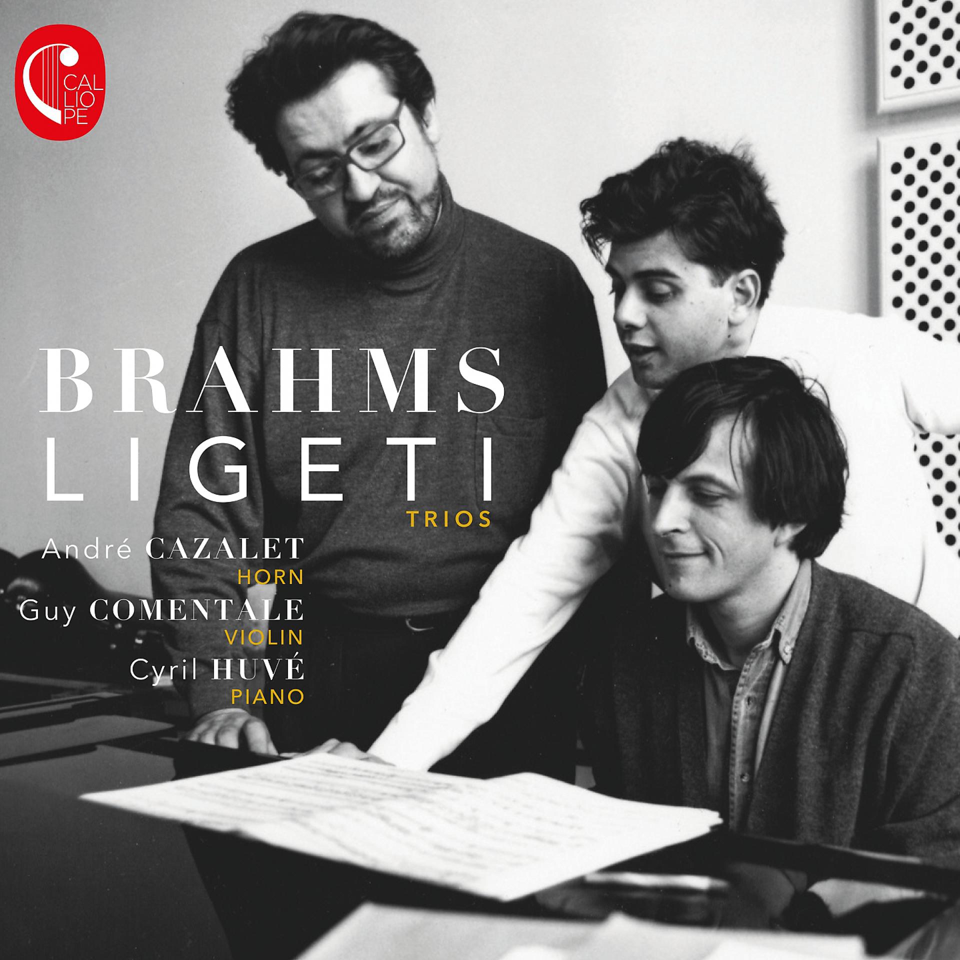 Постер альбома Brahms Ligeti