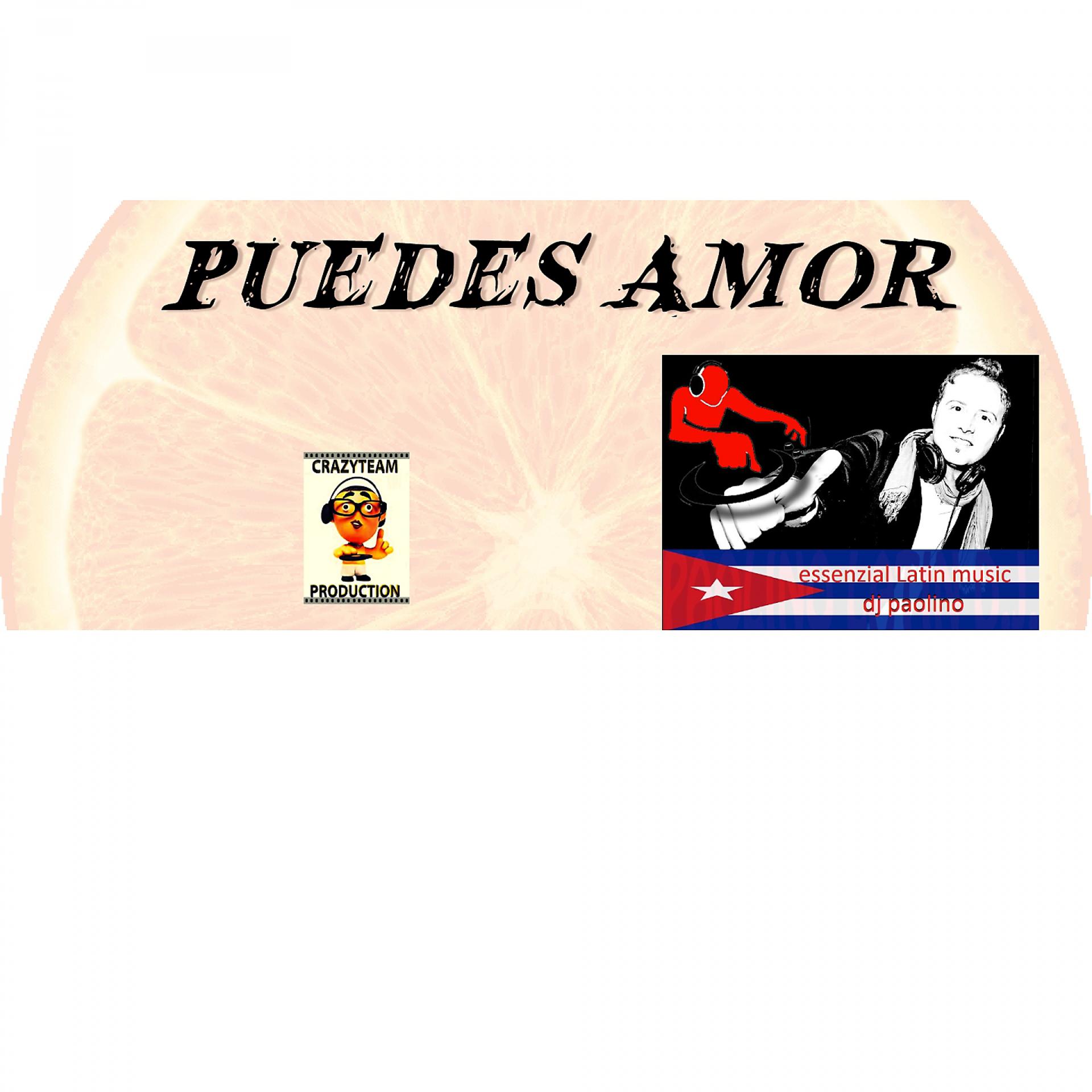 Постер альбома Puedes Amor