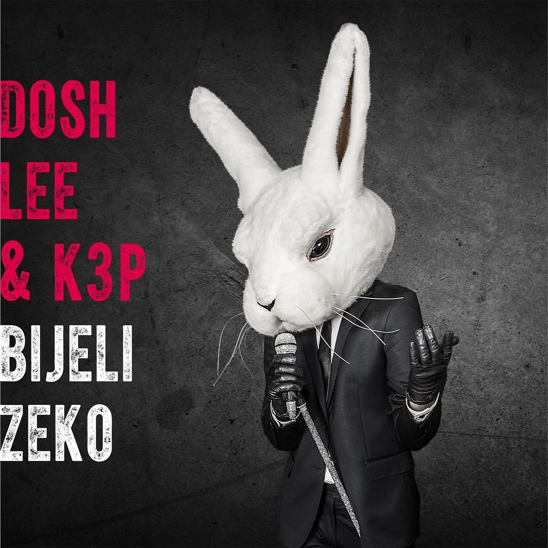 Постер альбома Bijeli Zeko