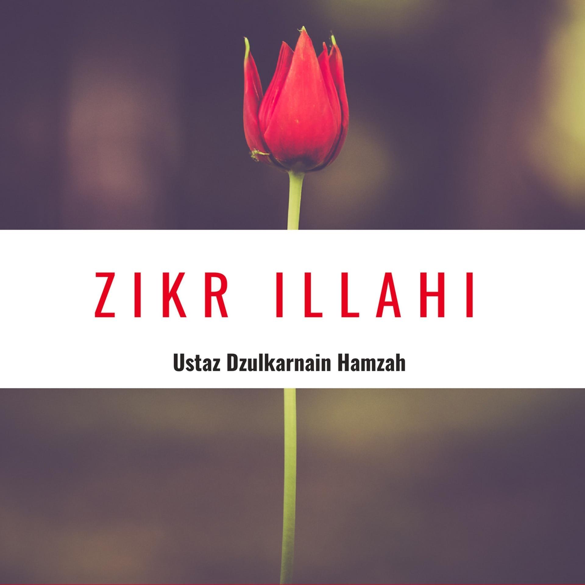 Постер альбома Zikr Illahi