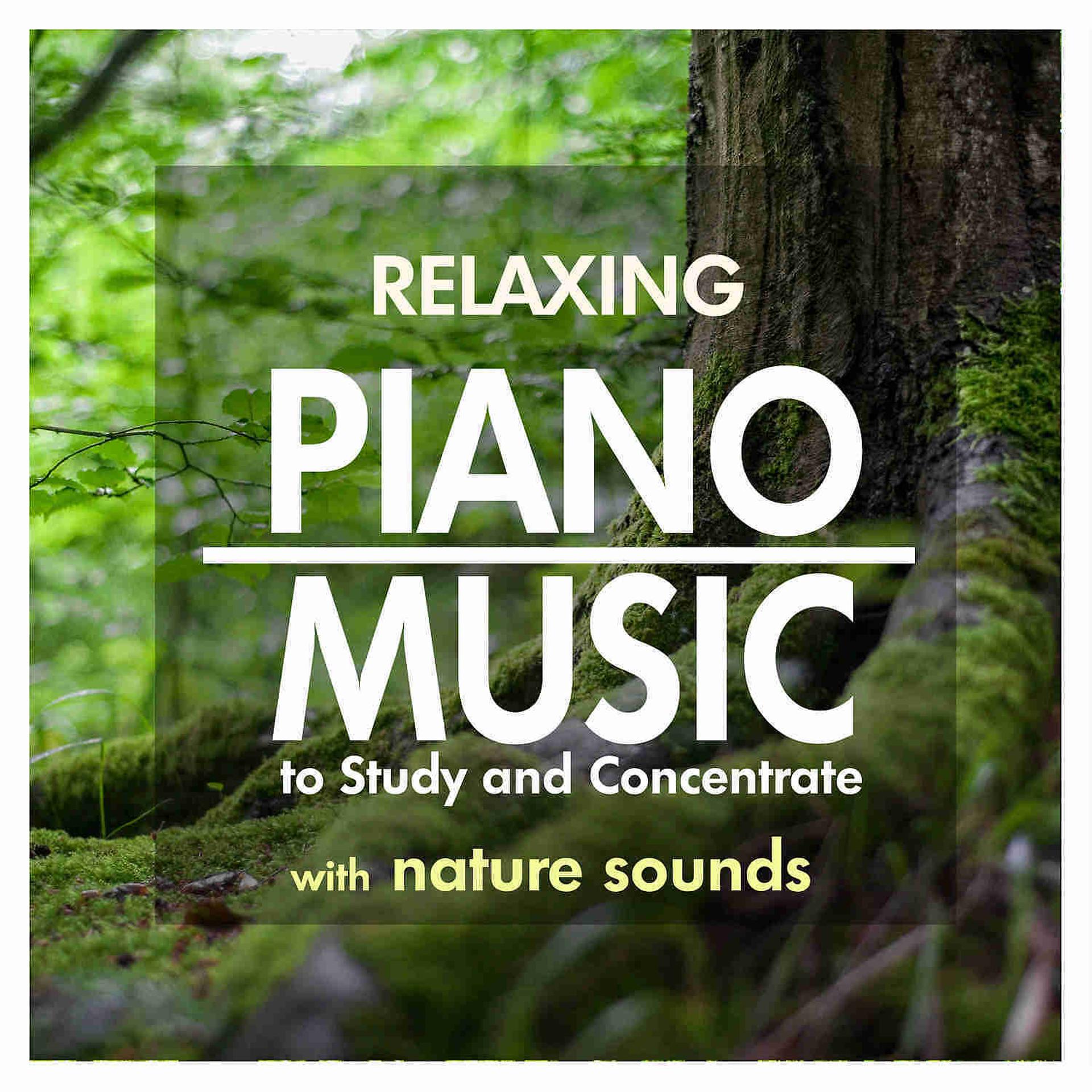 Постер альбома Relaxing Piano Music to Study and Concentrate with Nature Sounds