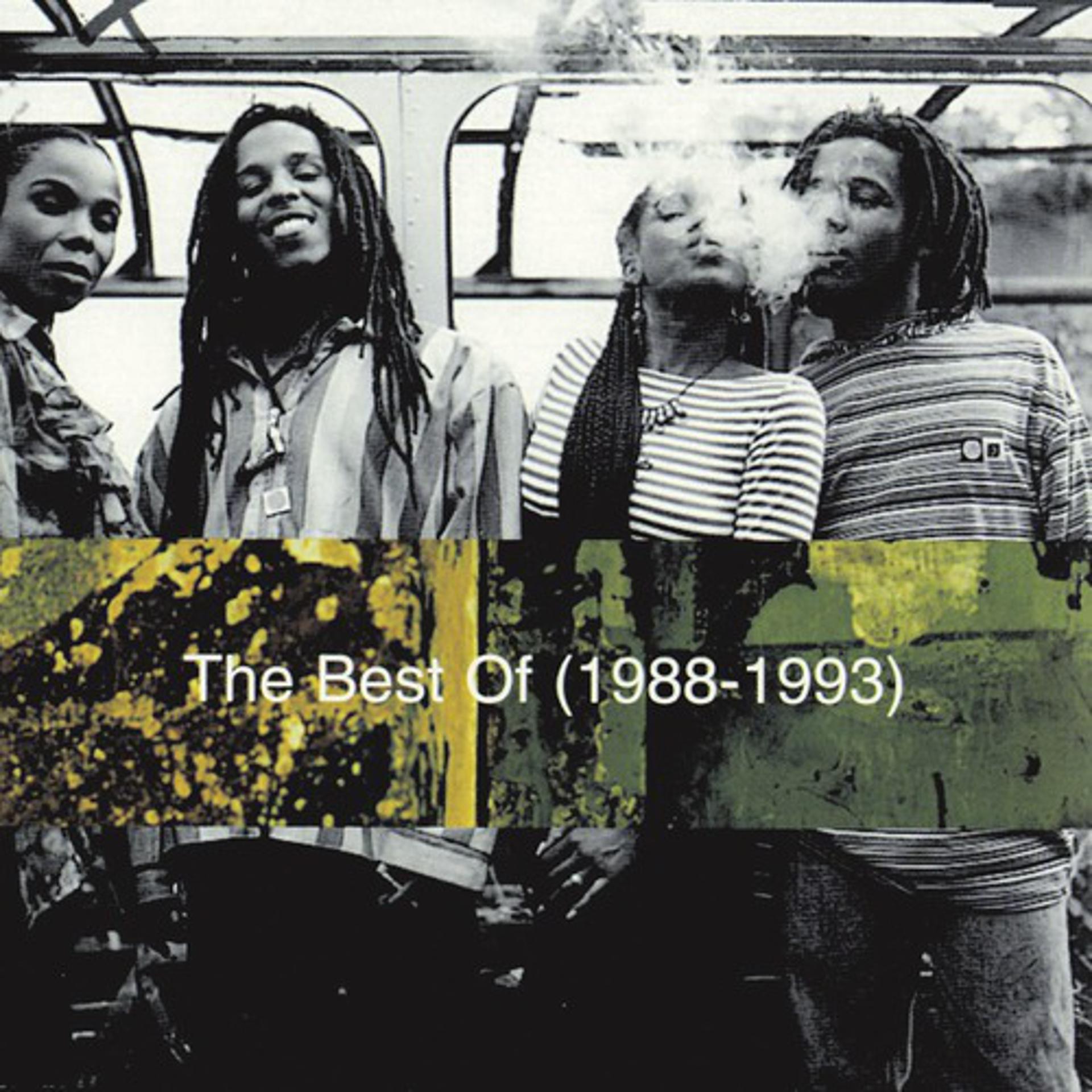 Постер альбома The Best of Ziggy Marley And The Melody Makers (1988 - 1993)